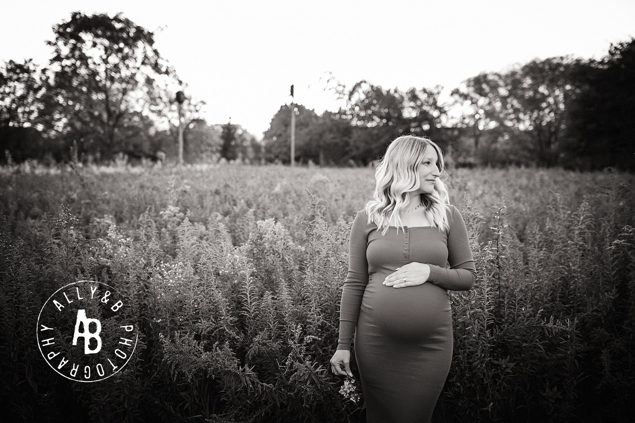 maternity photographers near glen ellyn.jpg