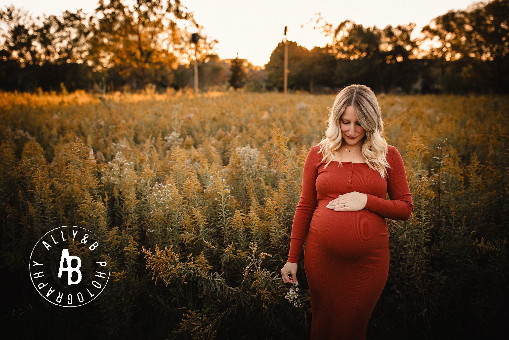 best maternity photographers in naperville il.jpg