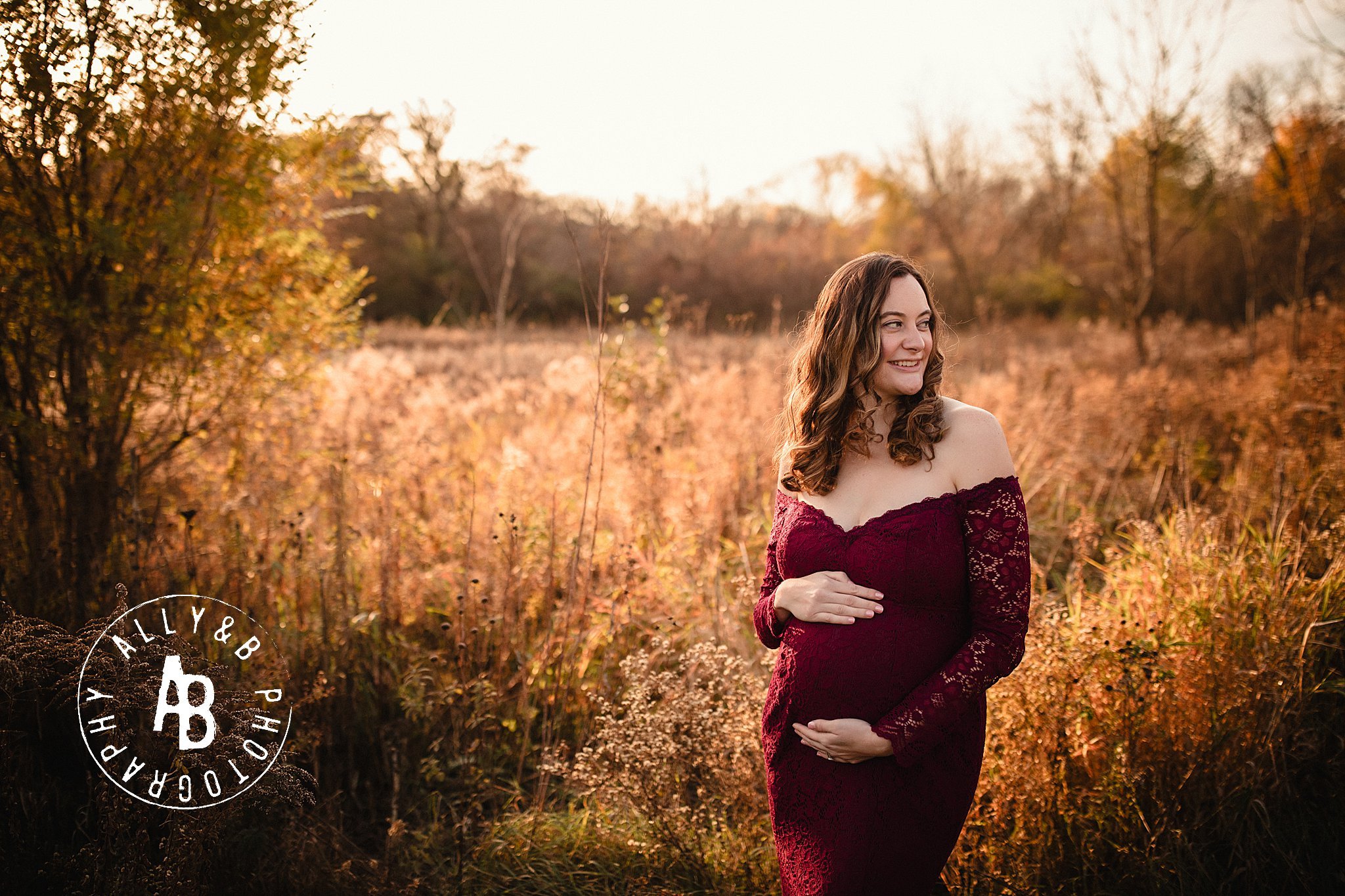 maternity photographers in naperville il.jpg