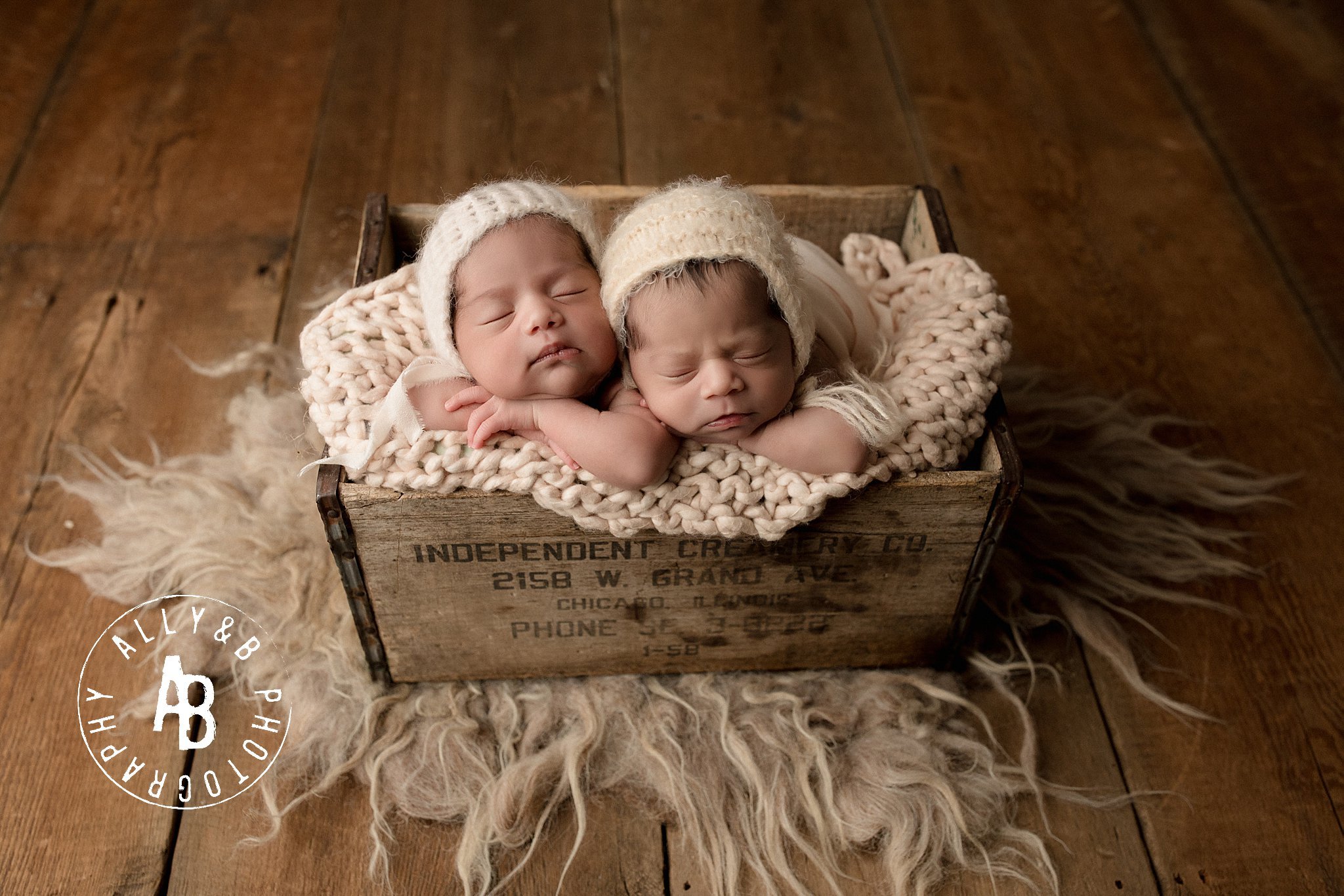 twin newborn photographer naperville.jpg