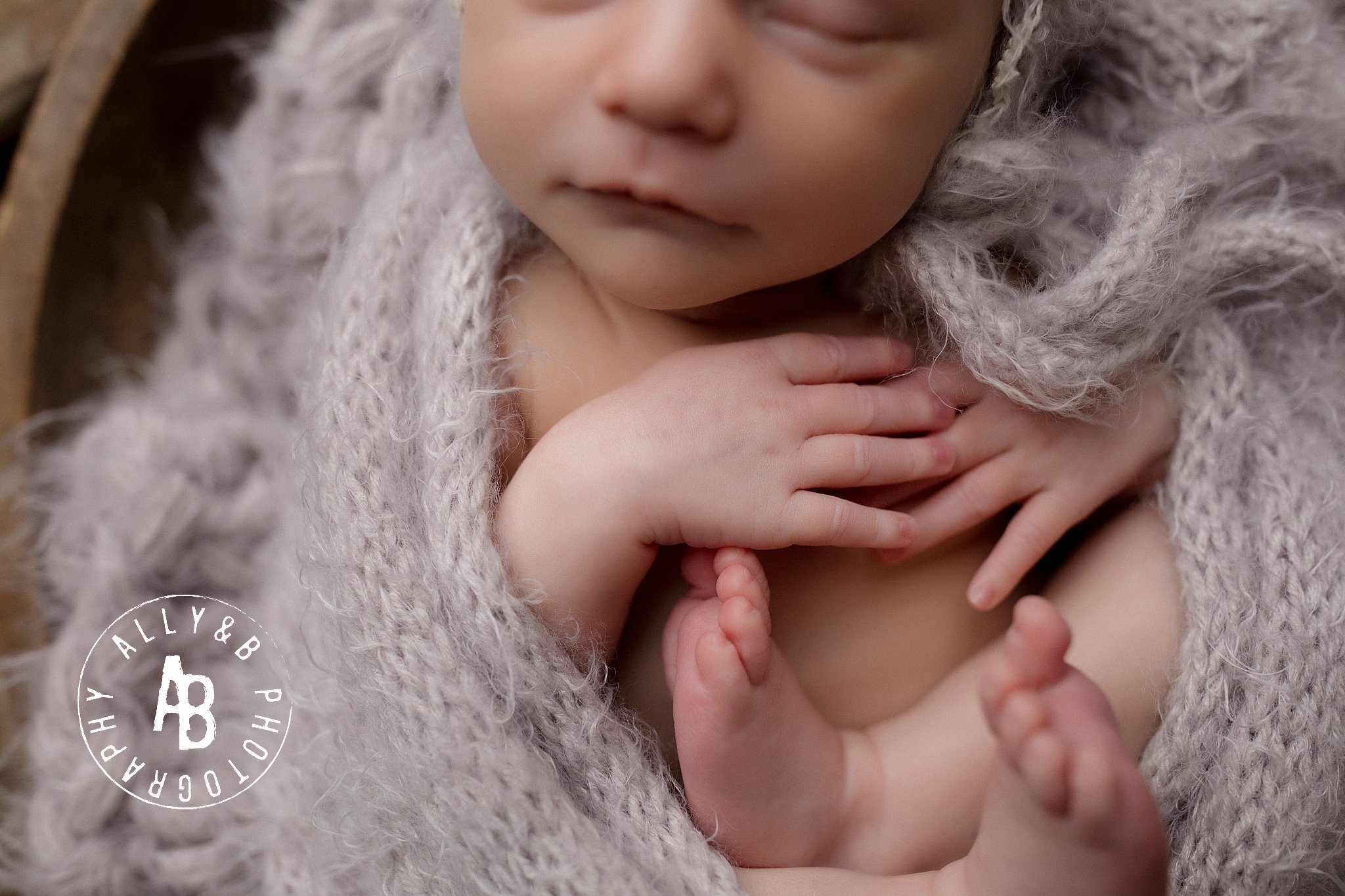 best newborn photographer naperville.jpg