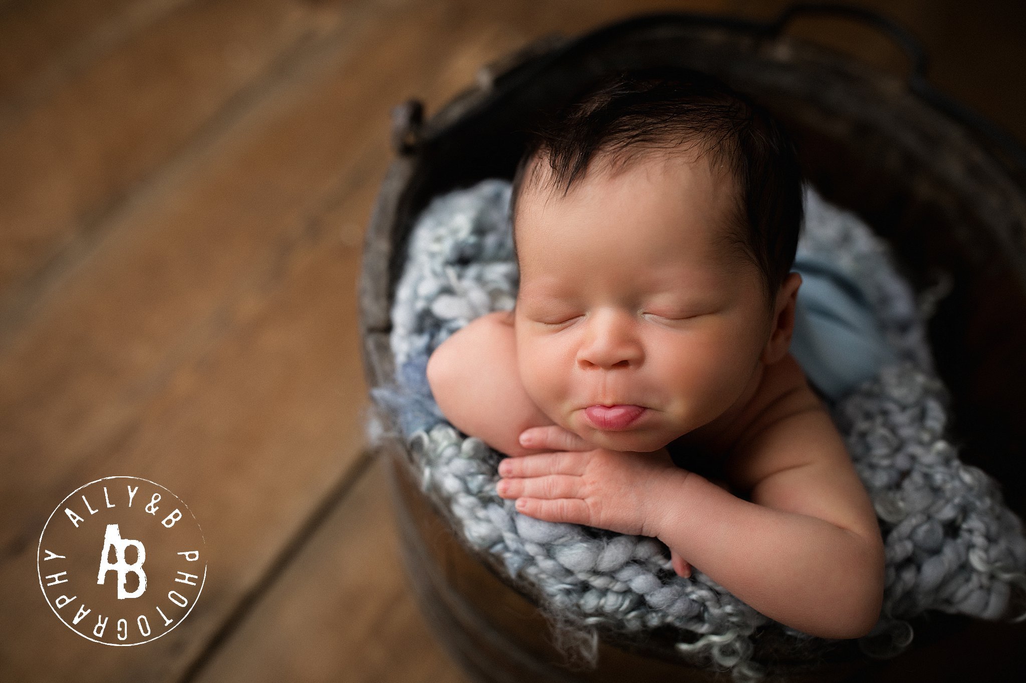 naperville newborn photographers.jpg