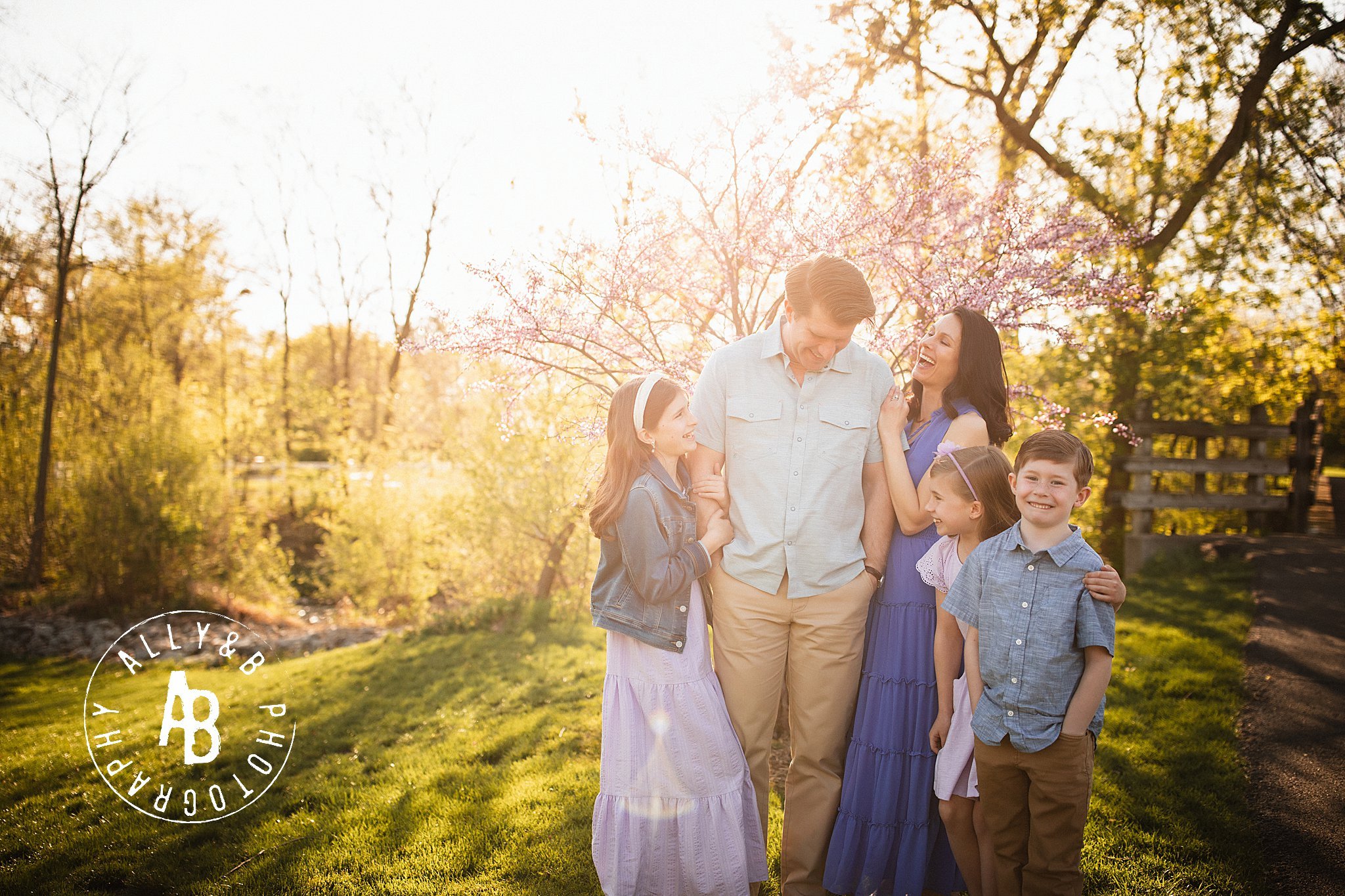 family photographers naperville.jpg