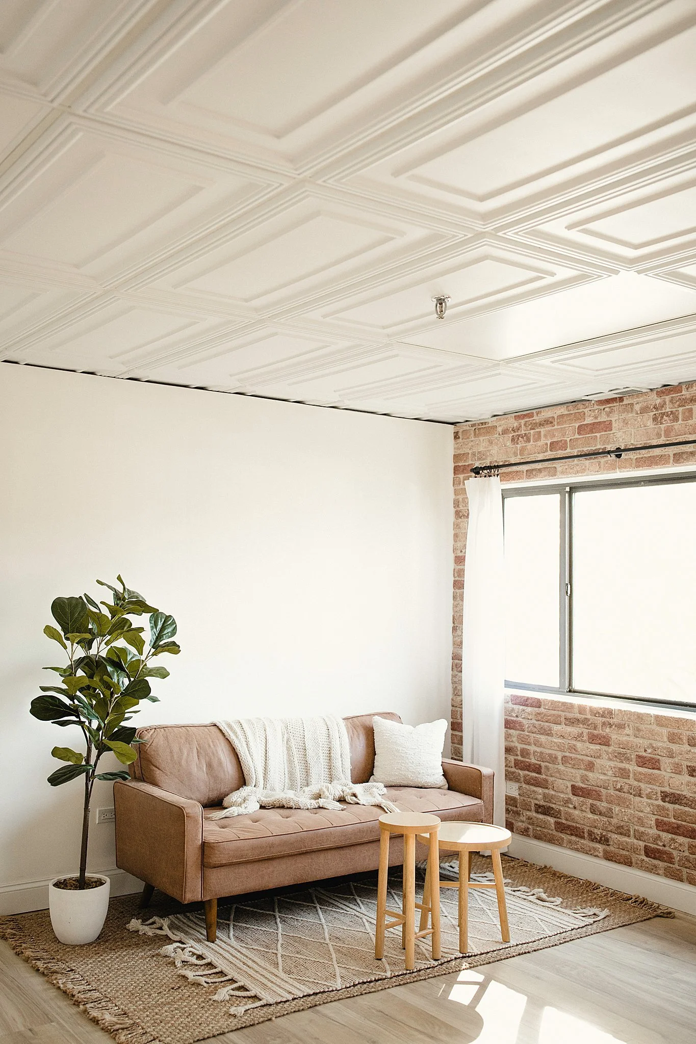 Room with a brown sofa, a potted plant, two wooden tables, a rug, and a large window with white curtains in the Ally and B Photography studio in Naperville, IL.