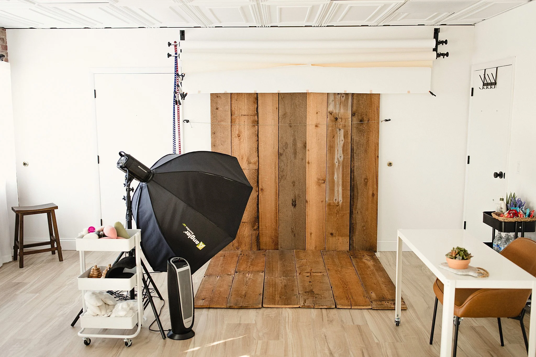 Photography studio with a wooden backdrop, studio lighting, a white cart with props, a small stool, a table with a potted plant, and various photography equipment for Ally and B Photography Naperville, IL.