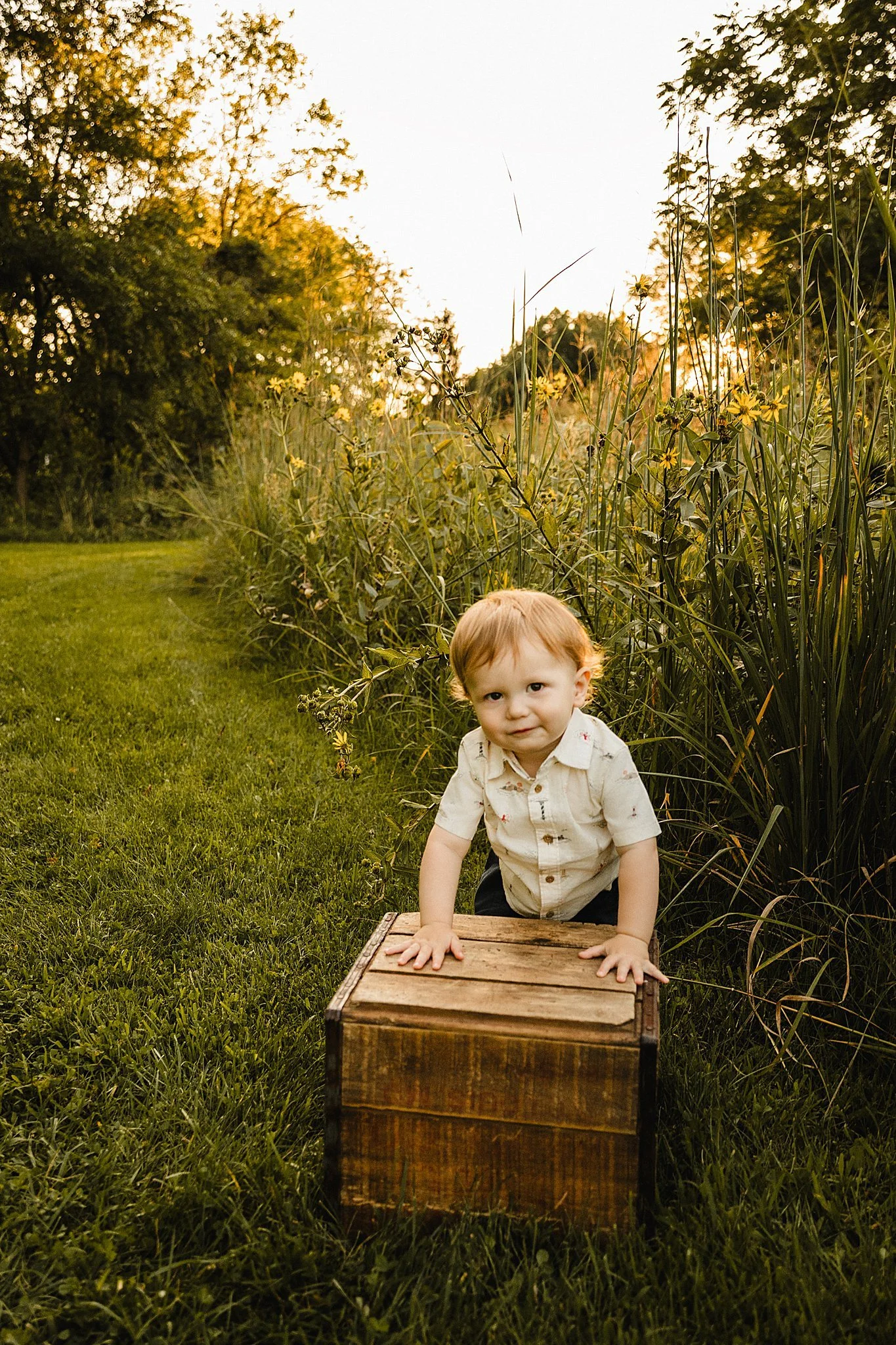 family photos naperville il.jpg