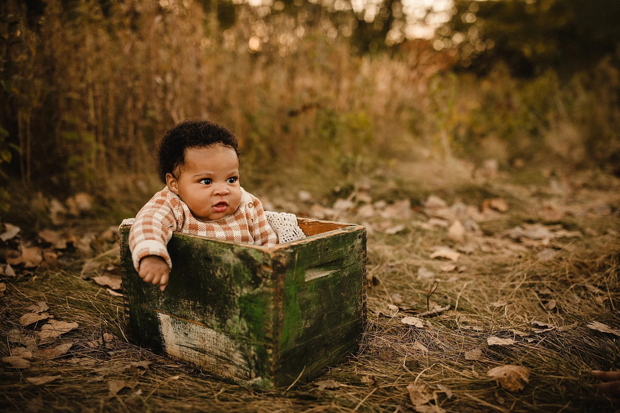 maternity photoshoot near me.jpg