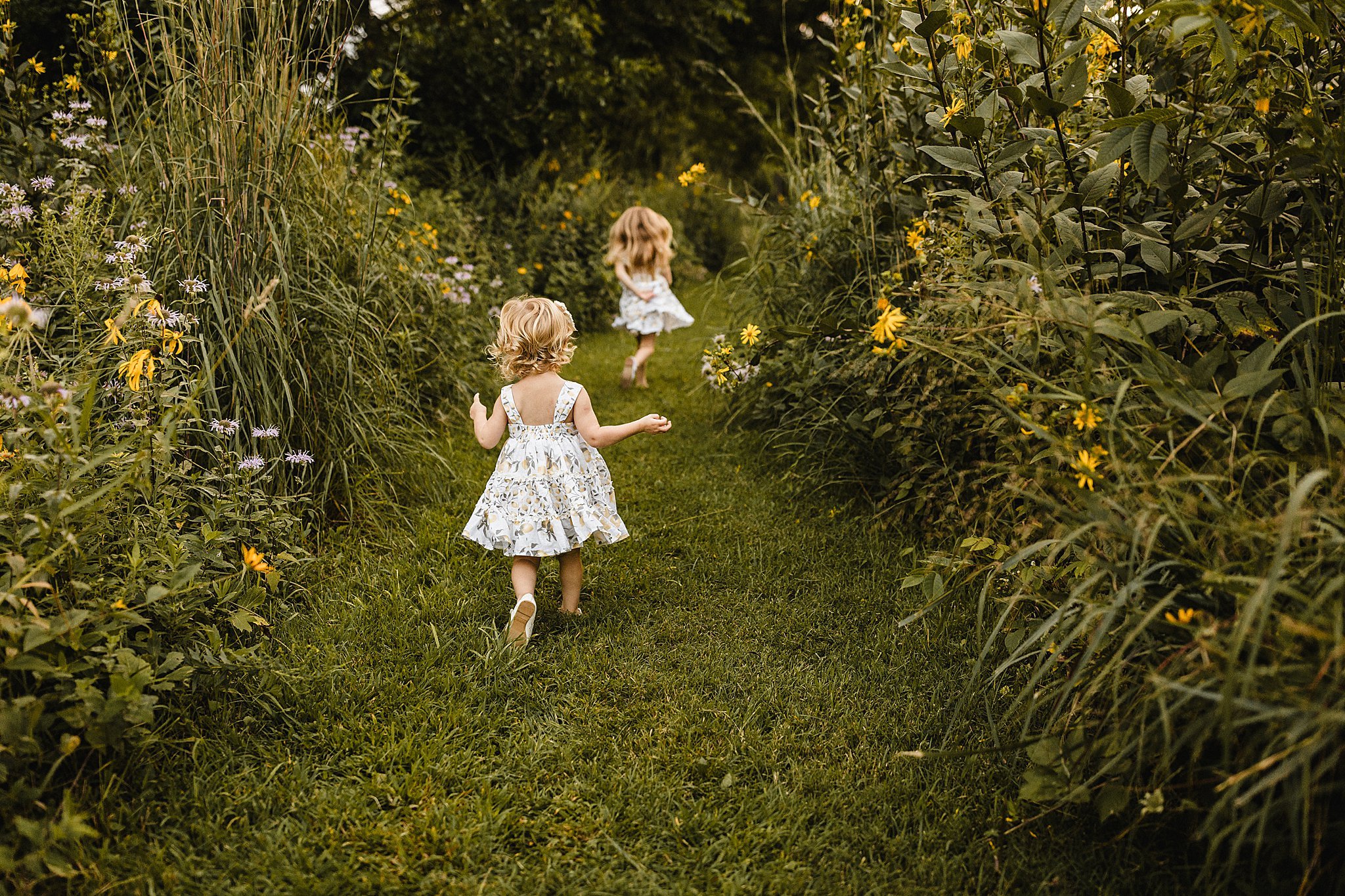 naperville family photographers.jpg