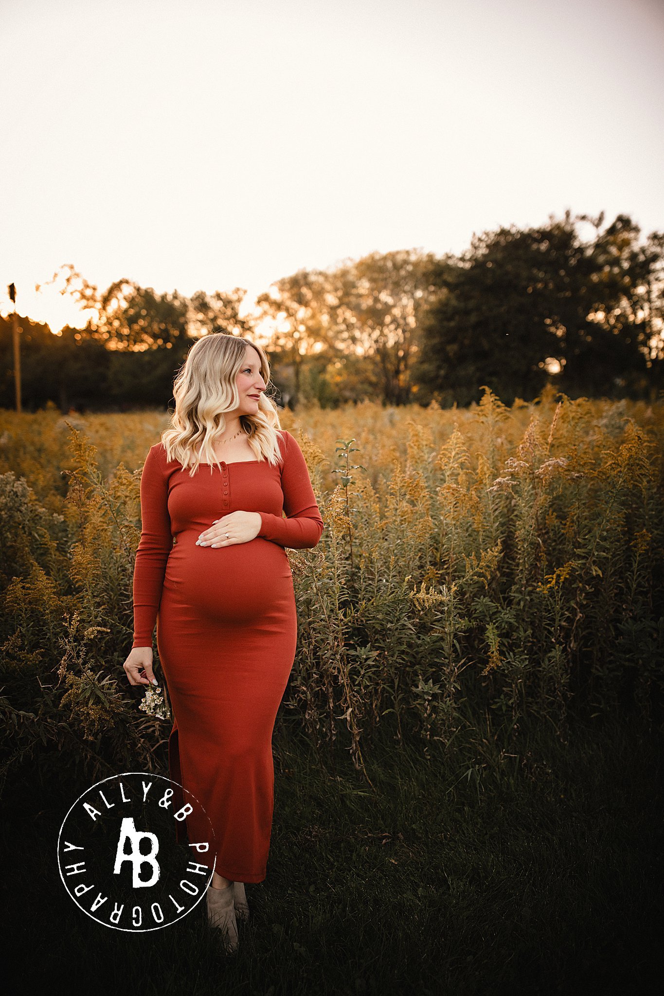 best maternity photographers naperville.jpg
