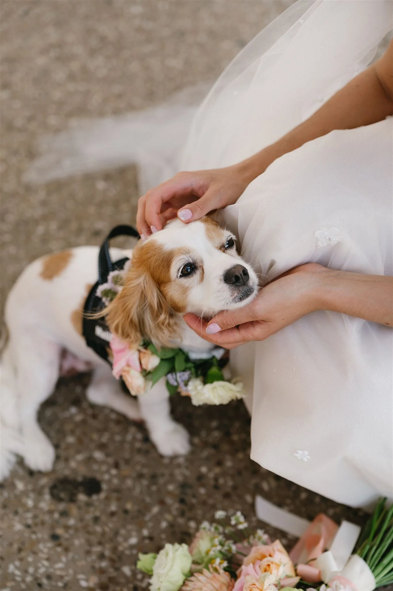 Lauren and Zach Ceremony by Sam Wyper Photography 319_websize.jpg