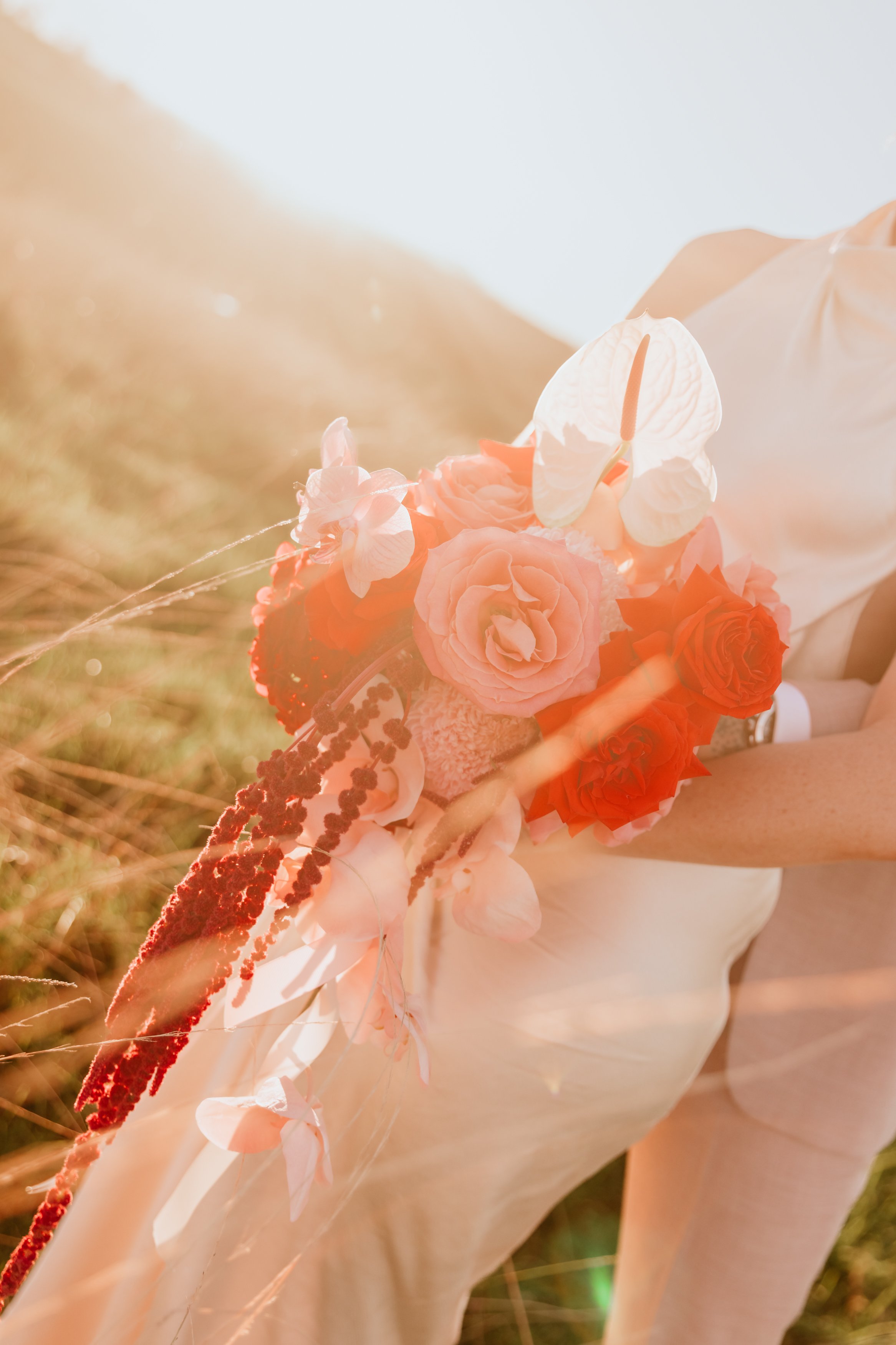 2026_Luxe_Elopements_forget_me_not_weddings_elope_byron_bay_caroline_tim-420.jpg