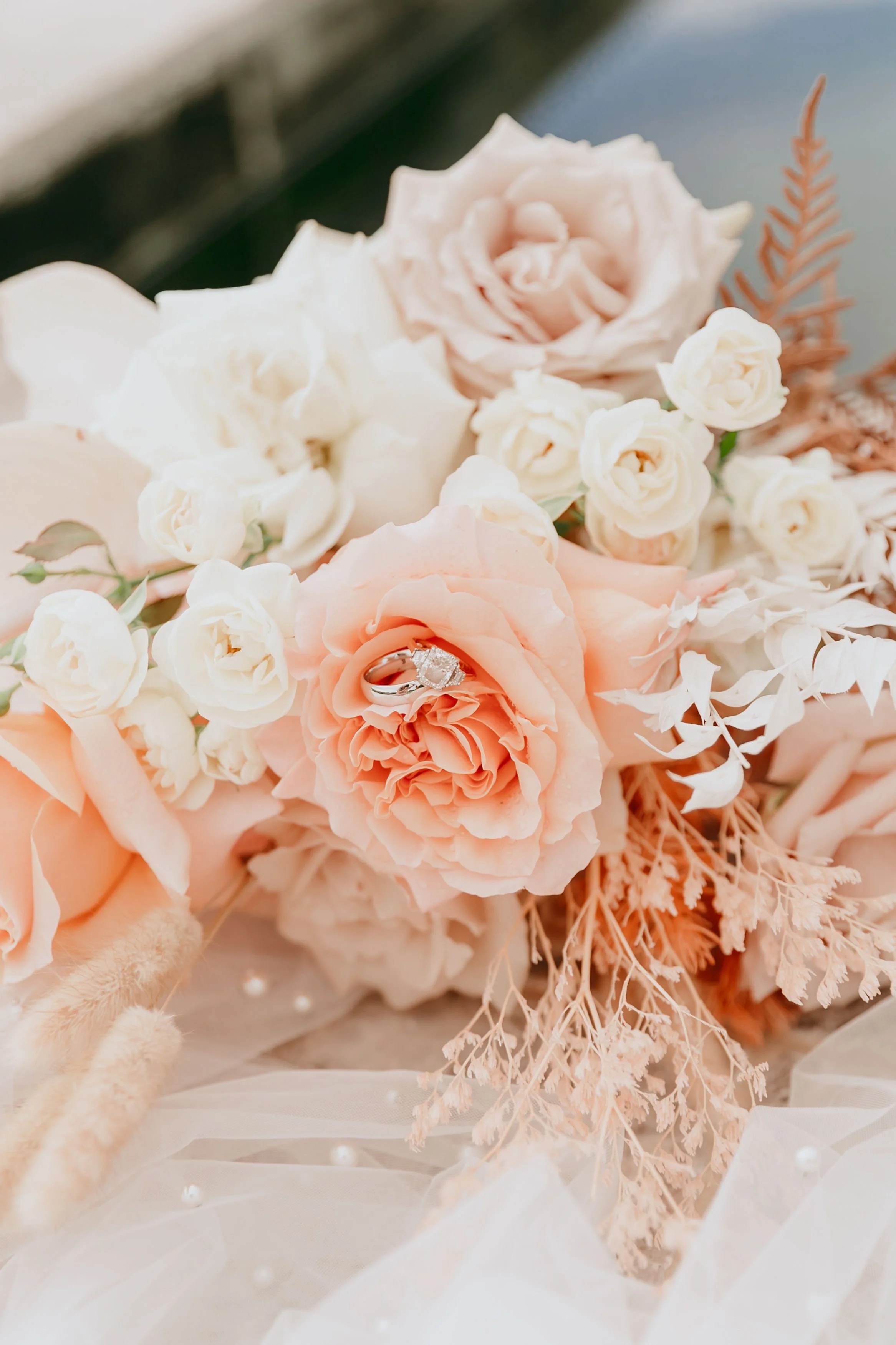 2023_Luxe_Elopements_Wdding_Byron_Bay_Abbie_Ross-0712.jpg
