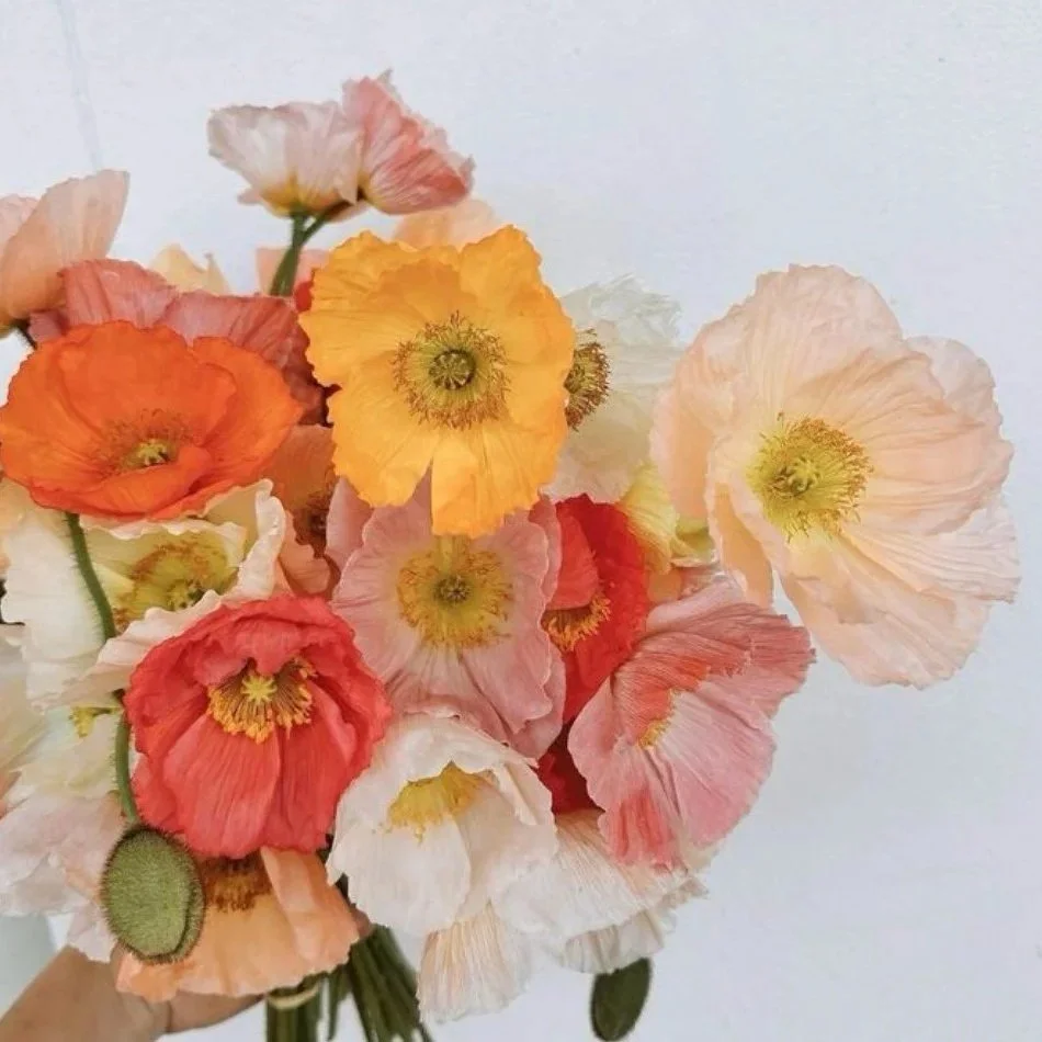 poppies.jpg