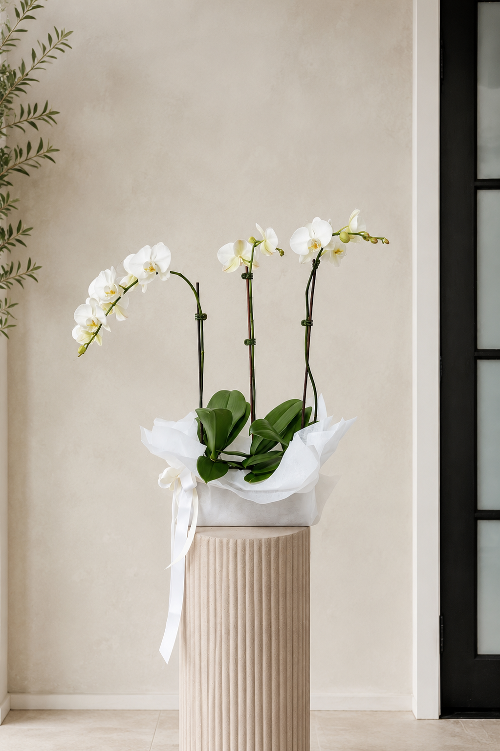orchid pot .png