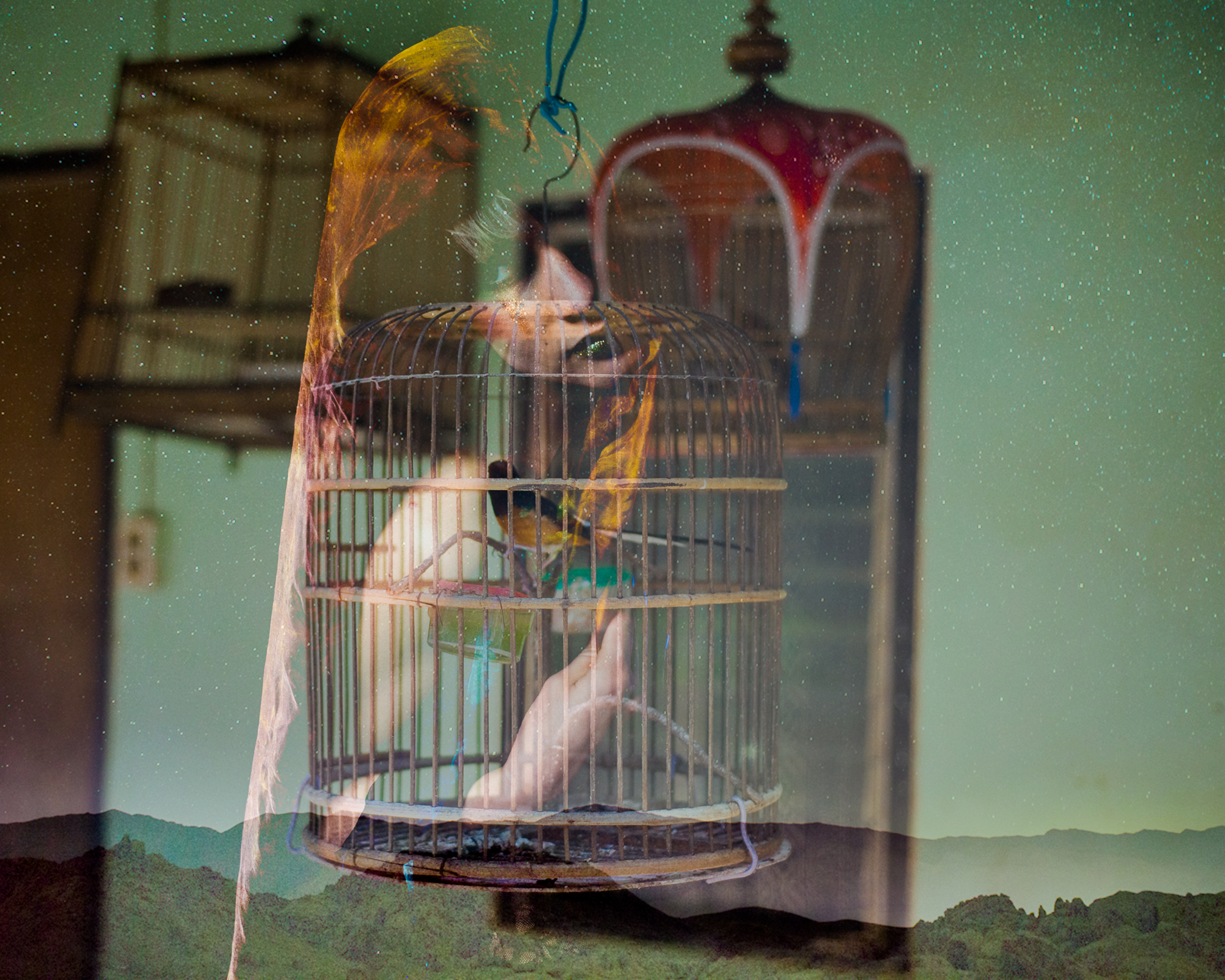 composite WEB (7 of 11).jpg