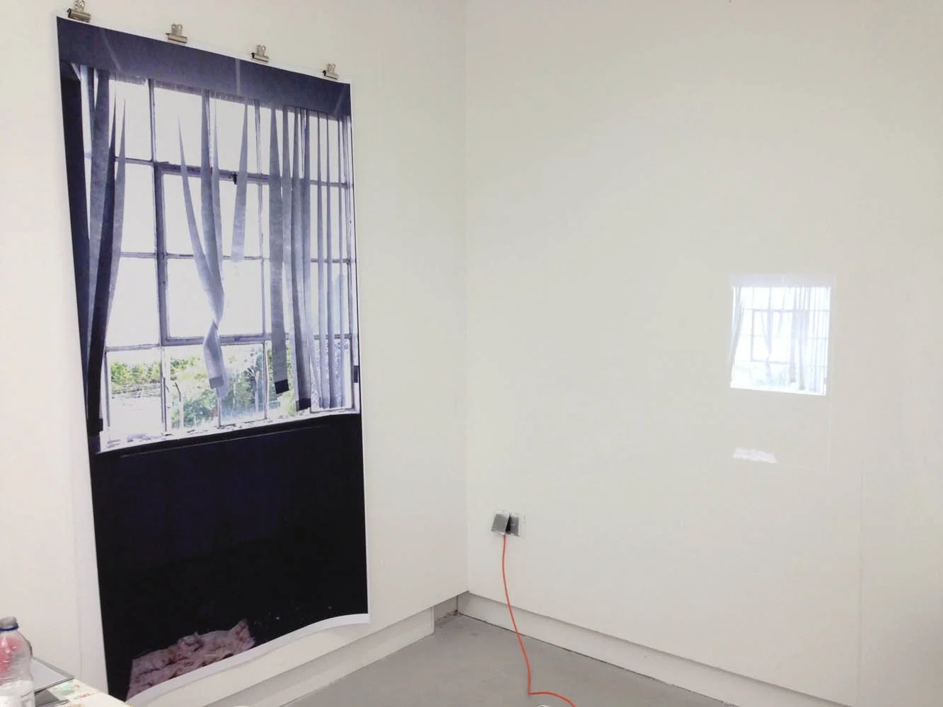 IMG_7794.jpg