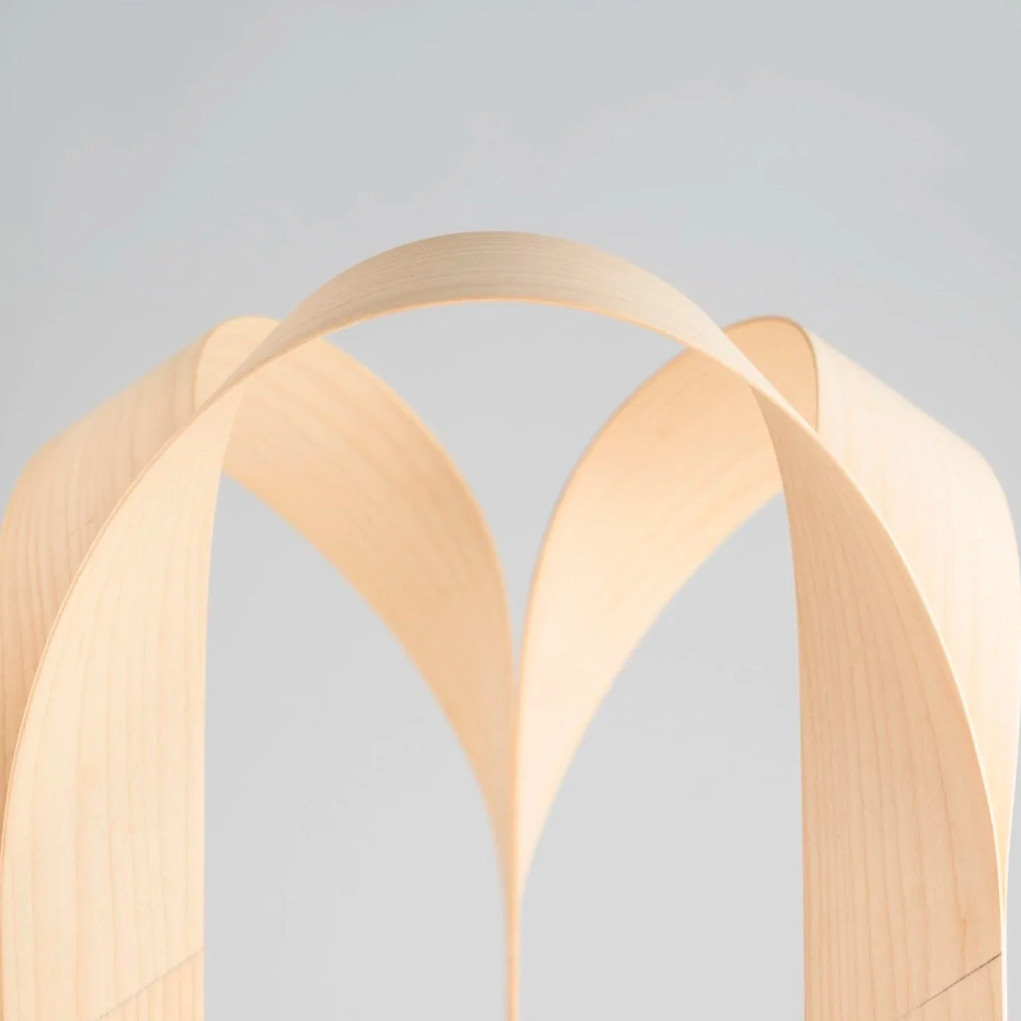 Lieyah Mobius Birch 9.jpg