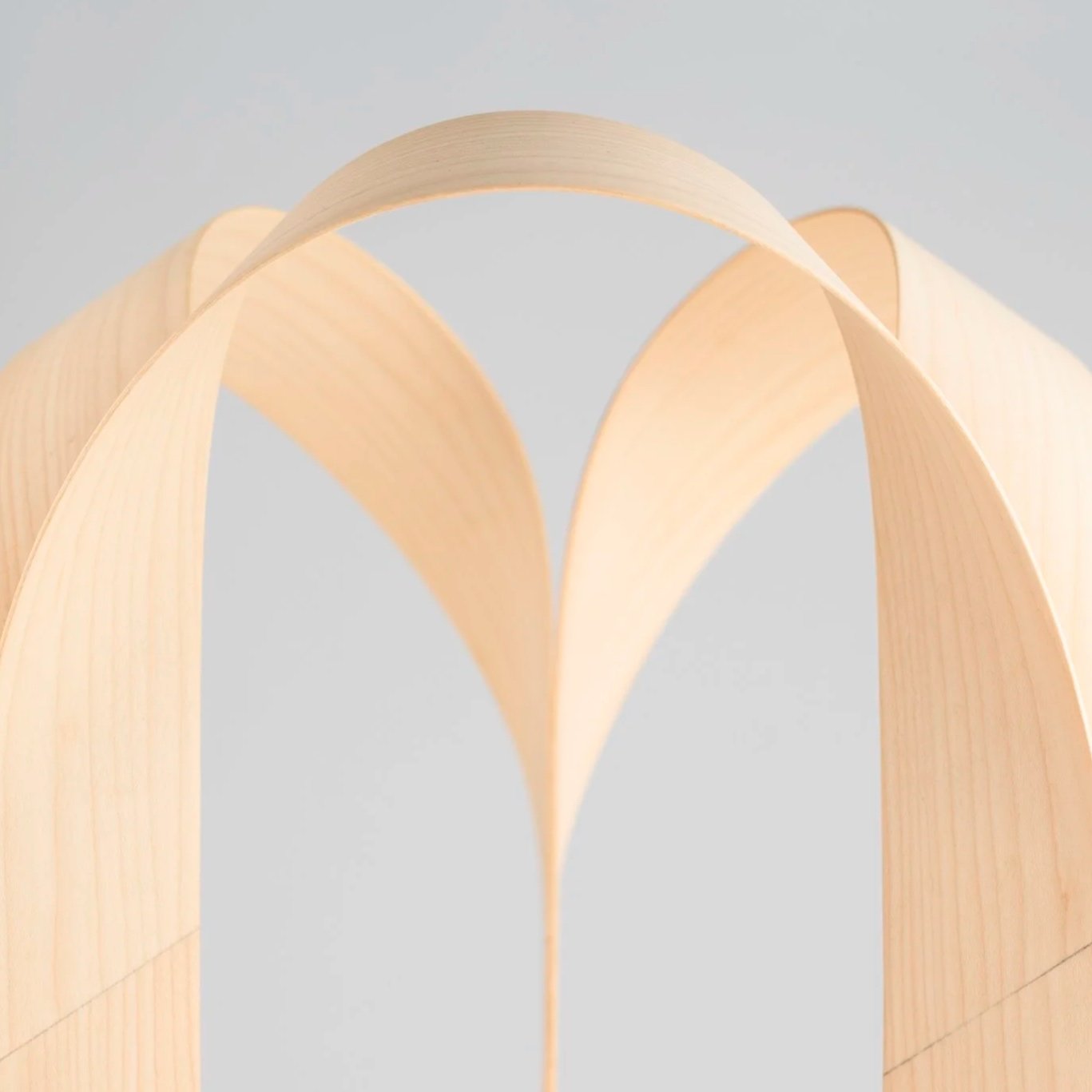 Lieyah Mobius Birch 9.jpg