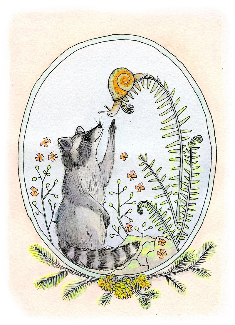 web raccoon and snail valentine.jpg