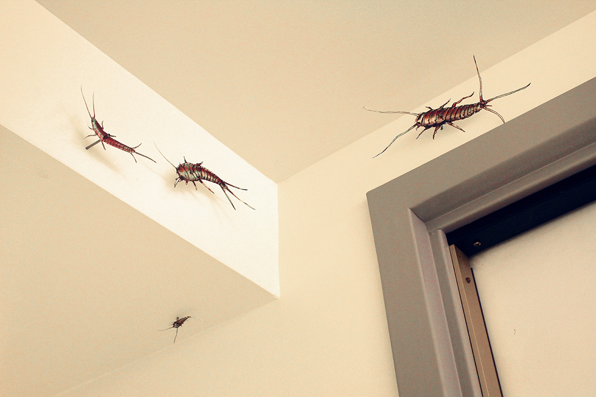 web bugs 2.jpg