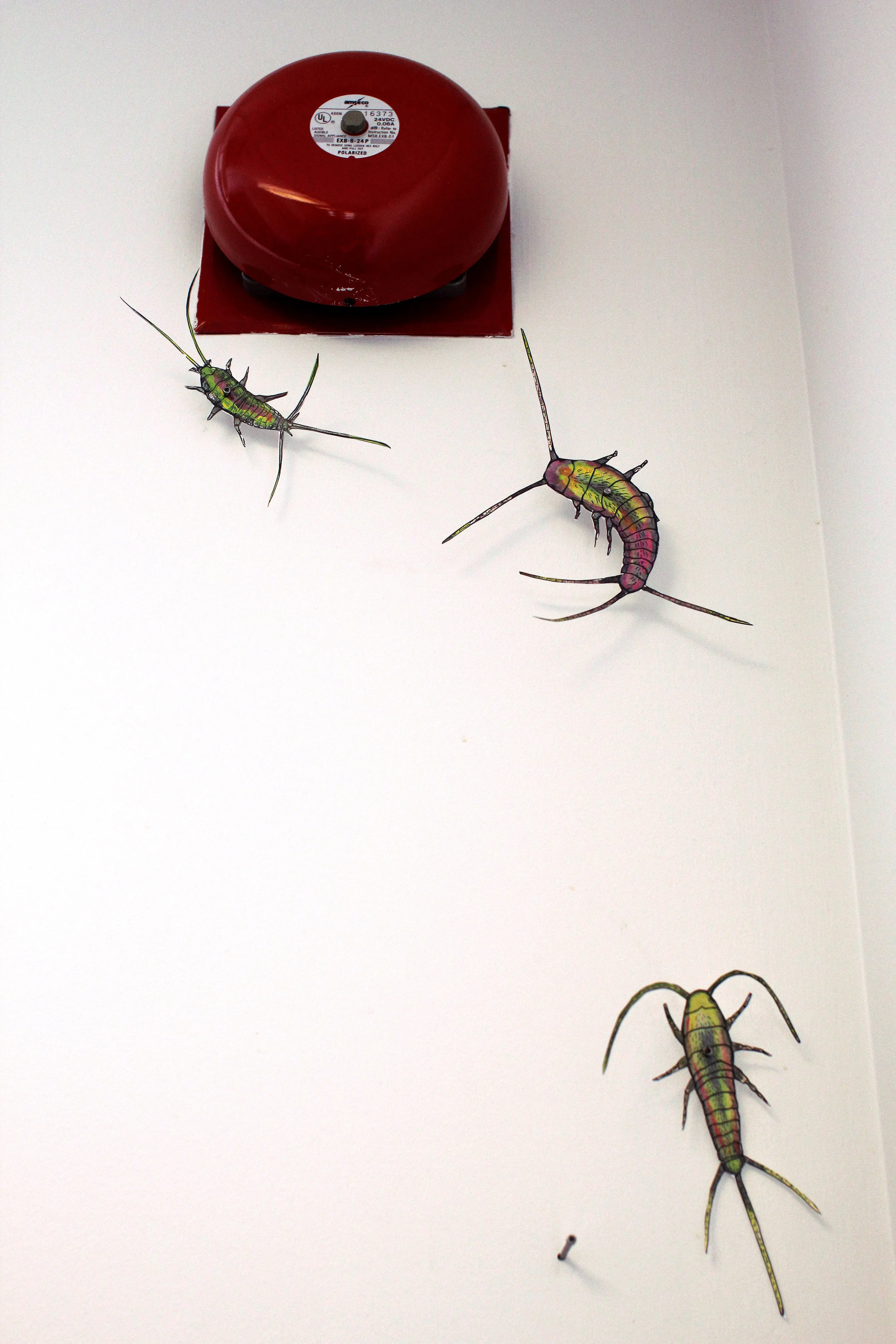 bugs 12.jpg