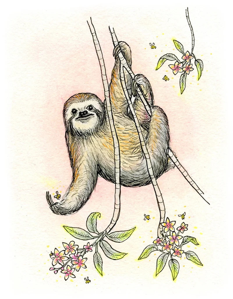 web sloth valentine.jpg