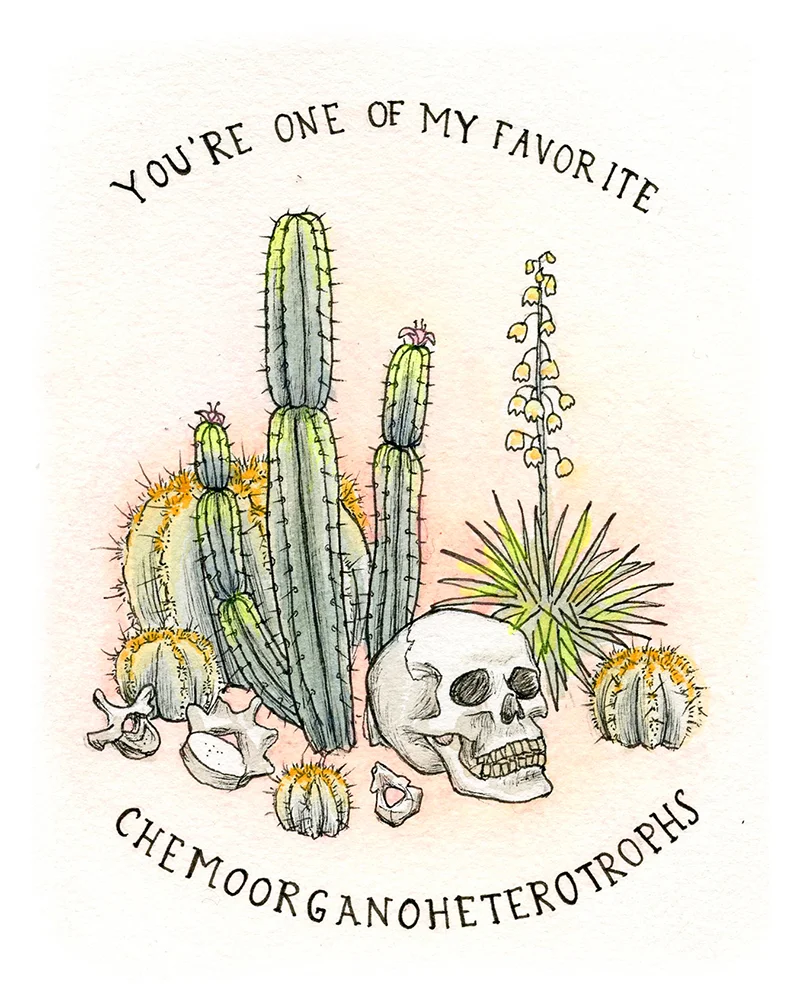 web skull valentine.jpg