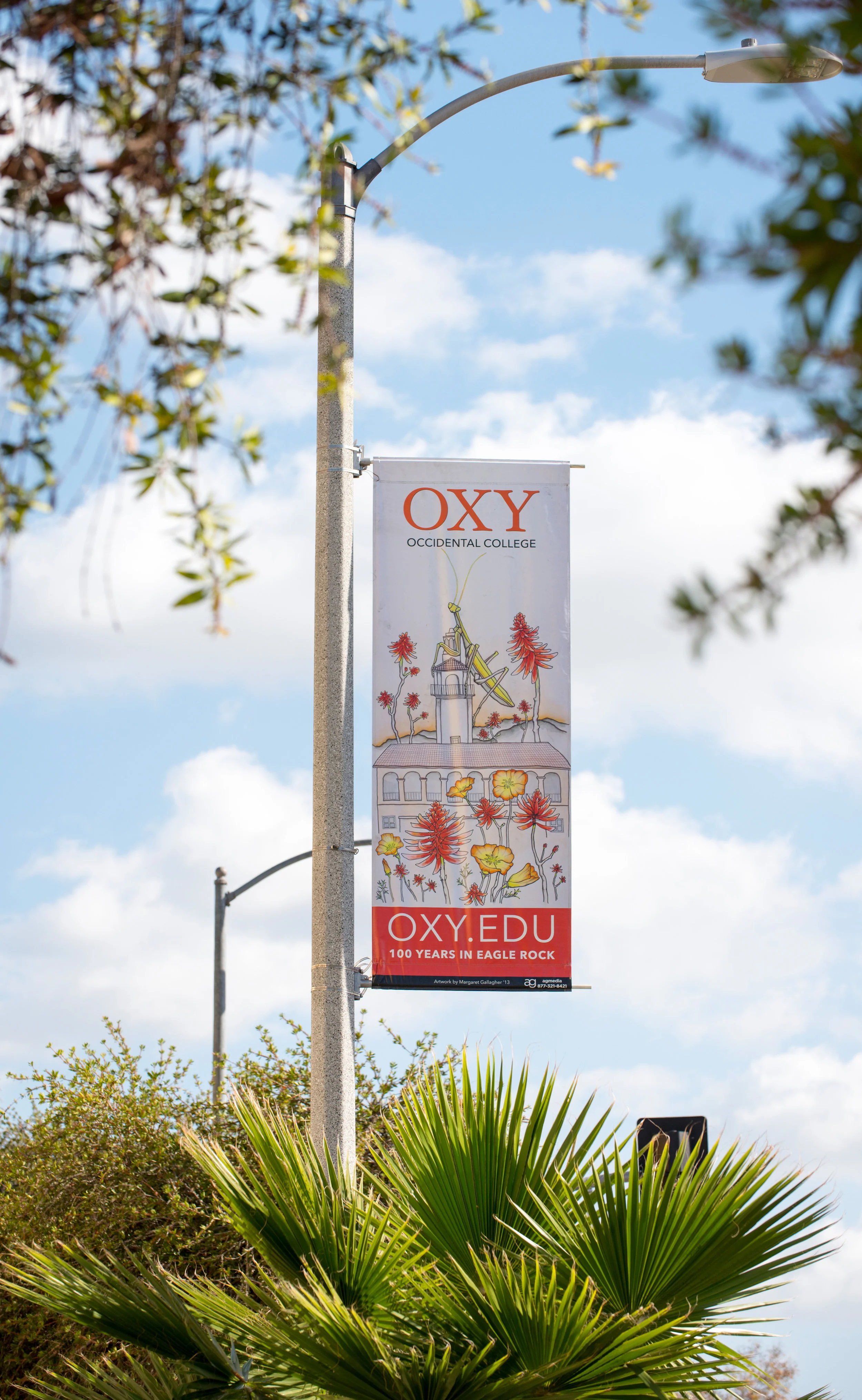 2013-1204_OxyBannersArt-054.jpg