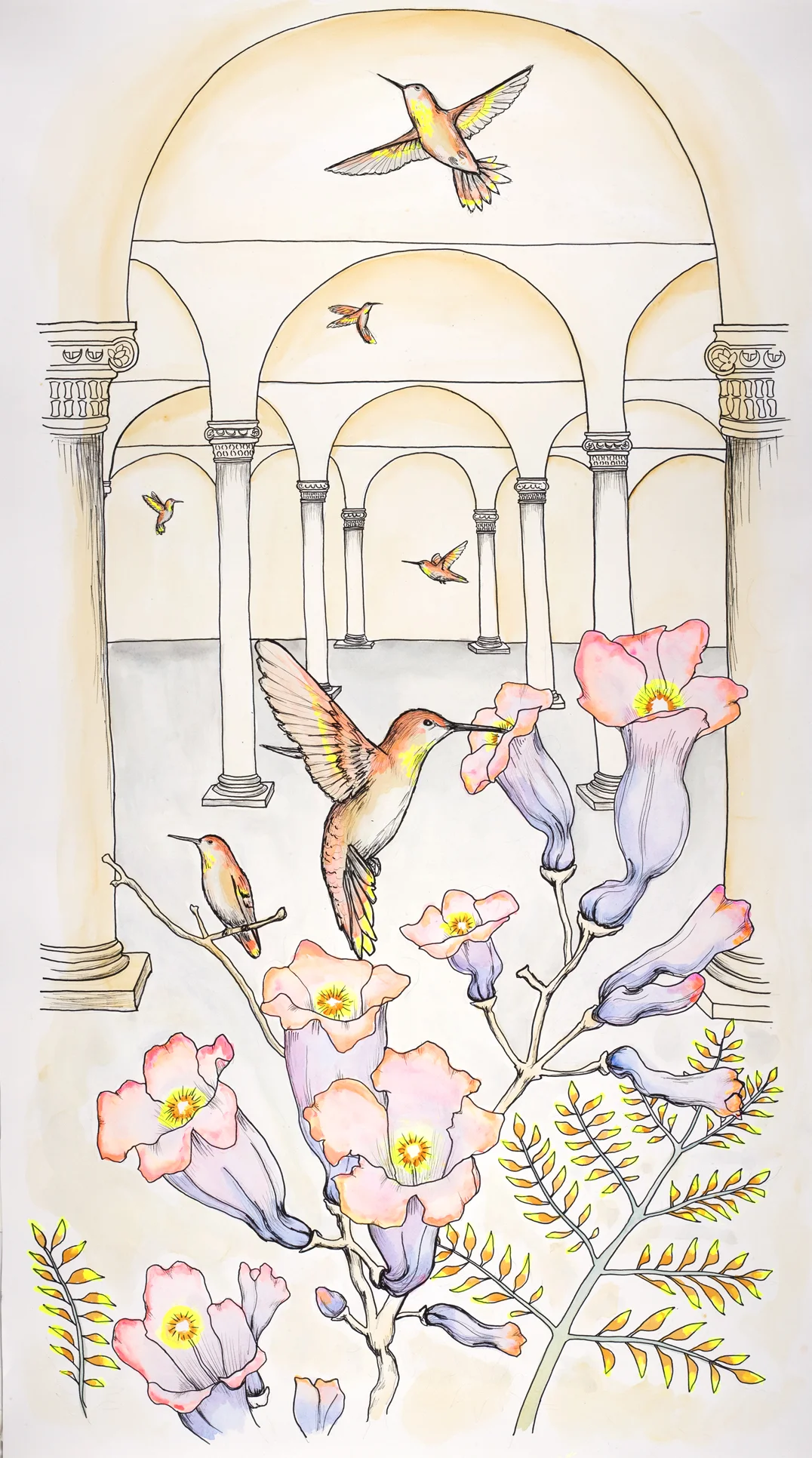 hummingbirds.jpg