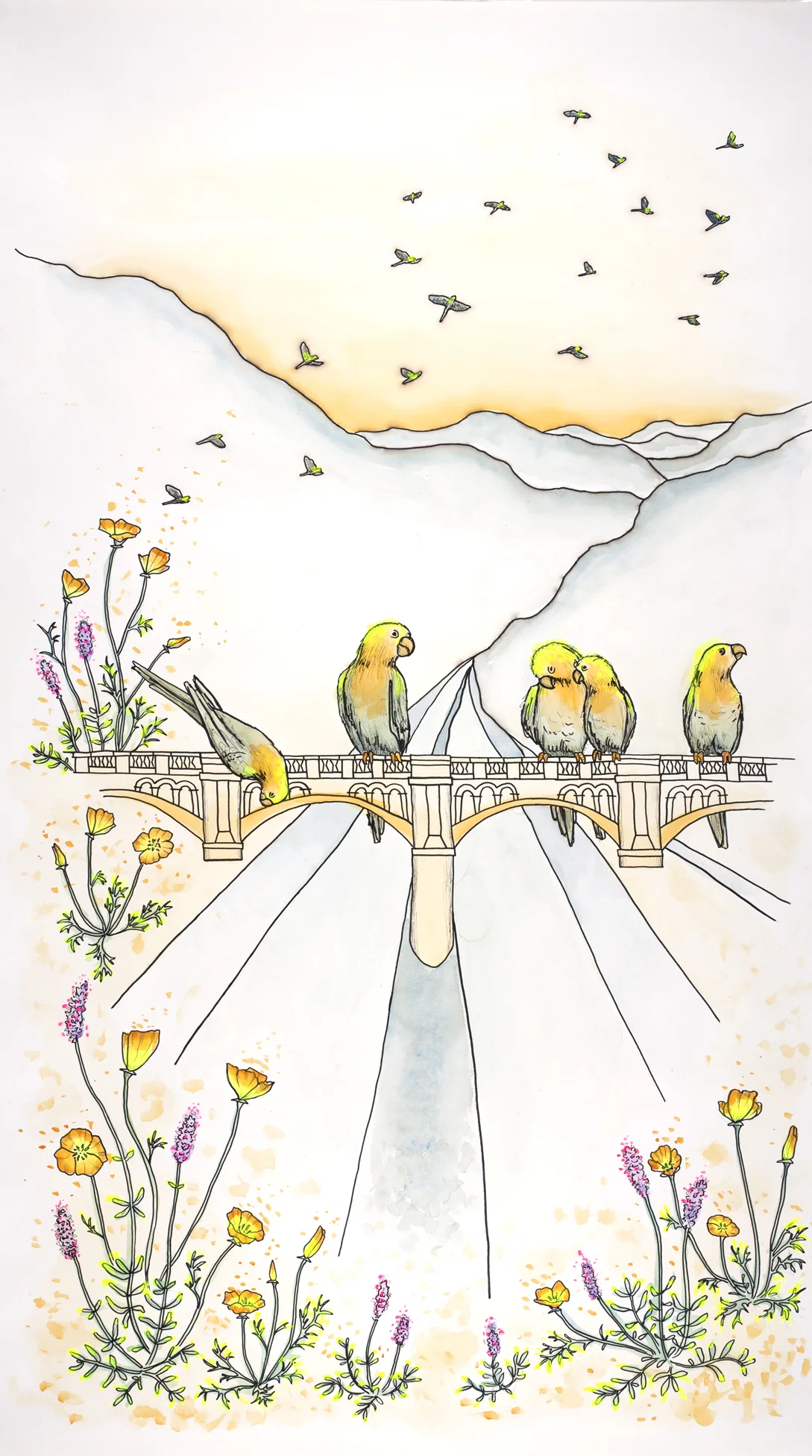 parrots.jpg