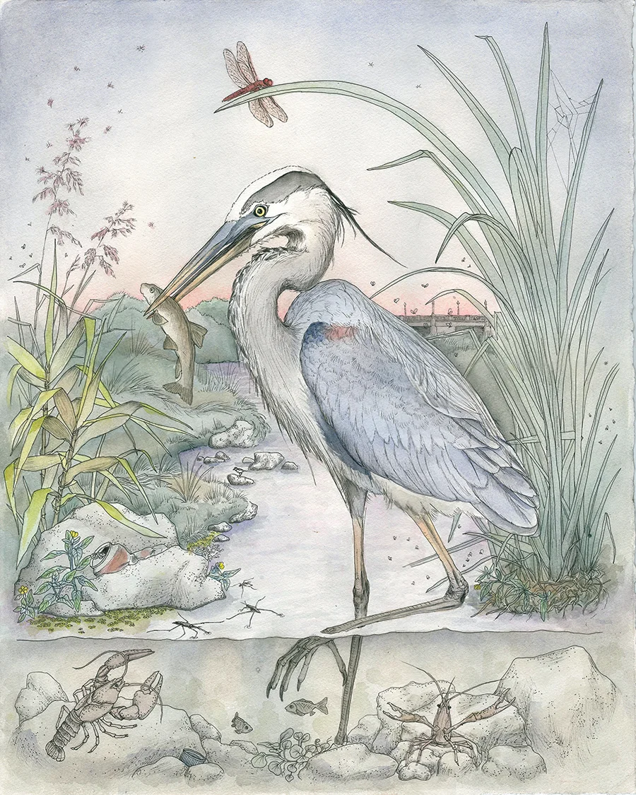 Margaret Gallagher Heron Transverse Tales.jpg