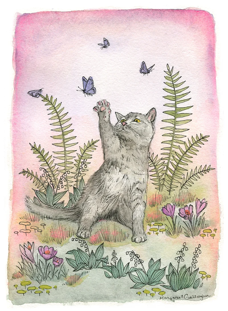 2018_valentine_kitten_72.jpg