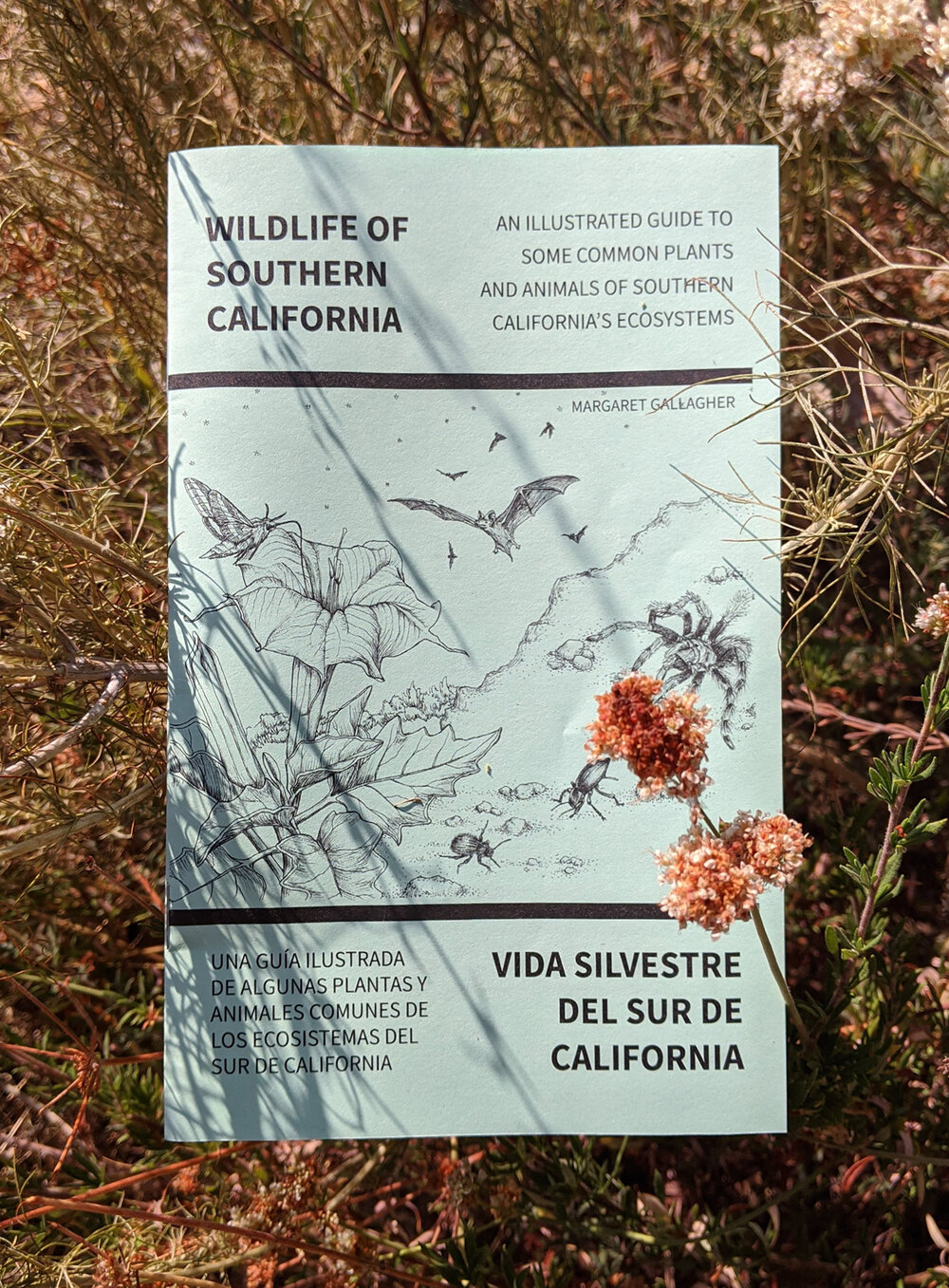 Wildlife of Southern California: A bilingual illustrated guide — MARGARET  GALLAGHER