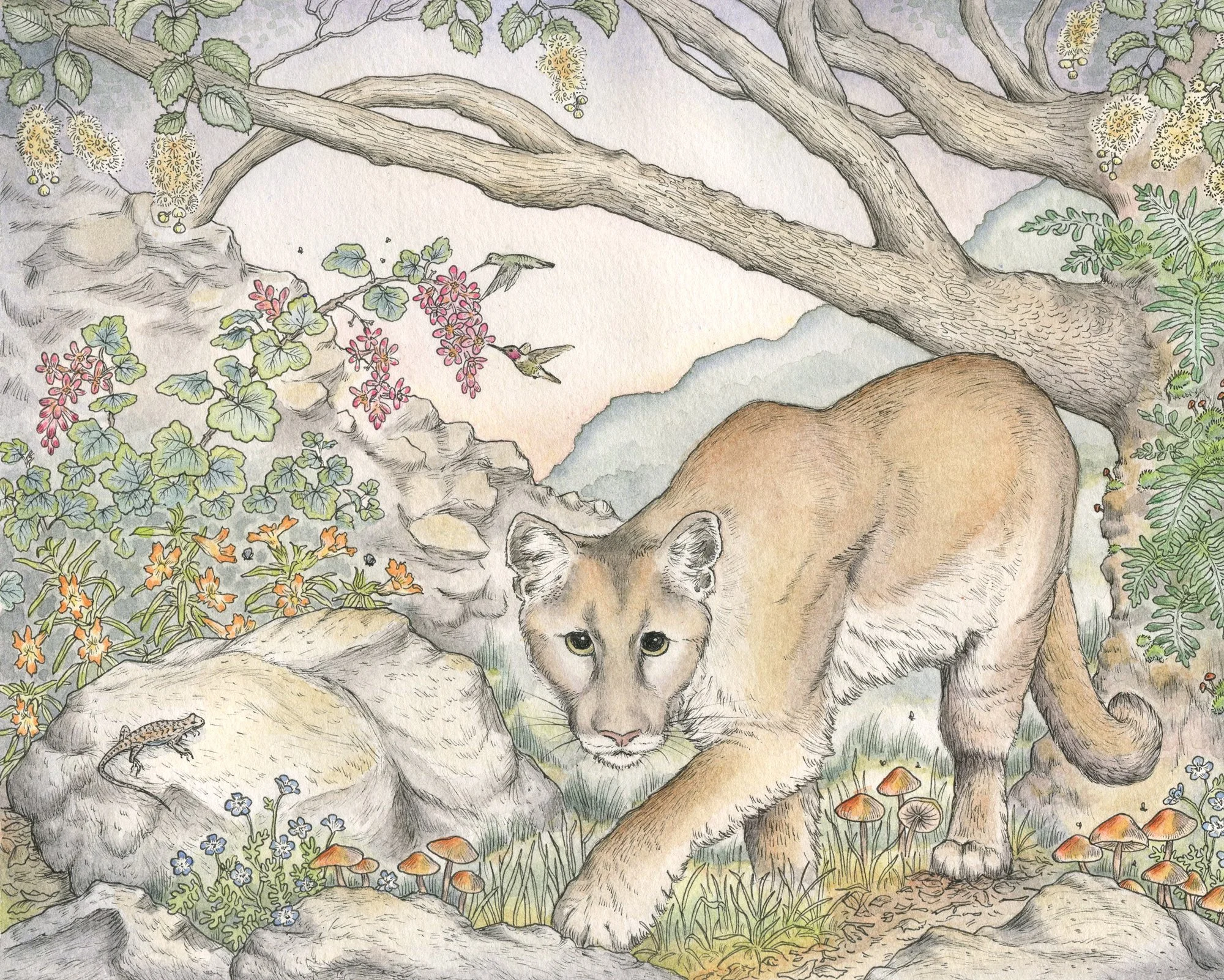 the-puma-and-the-prunus.jpg