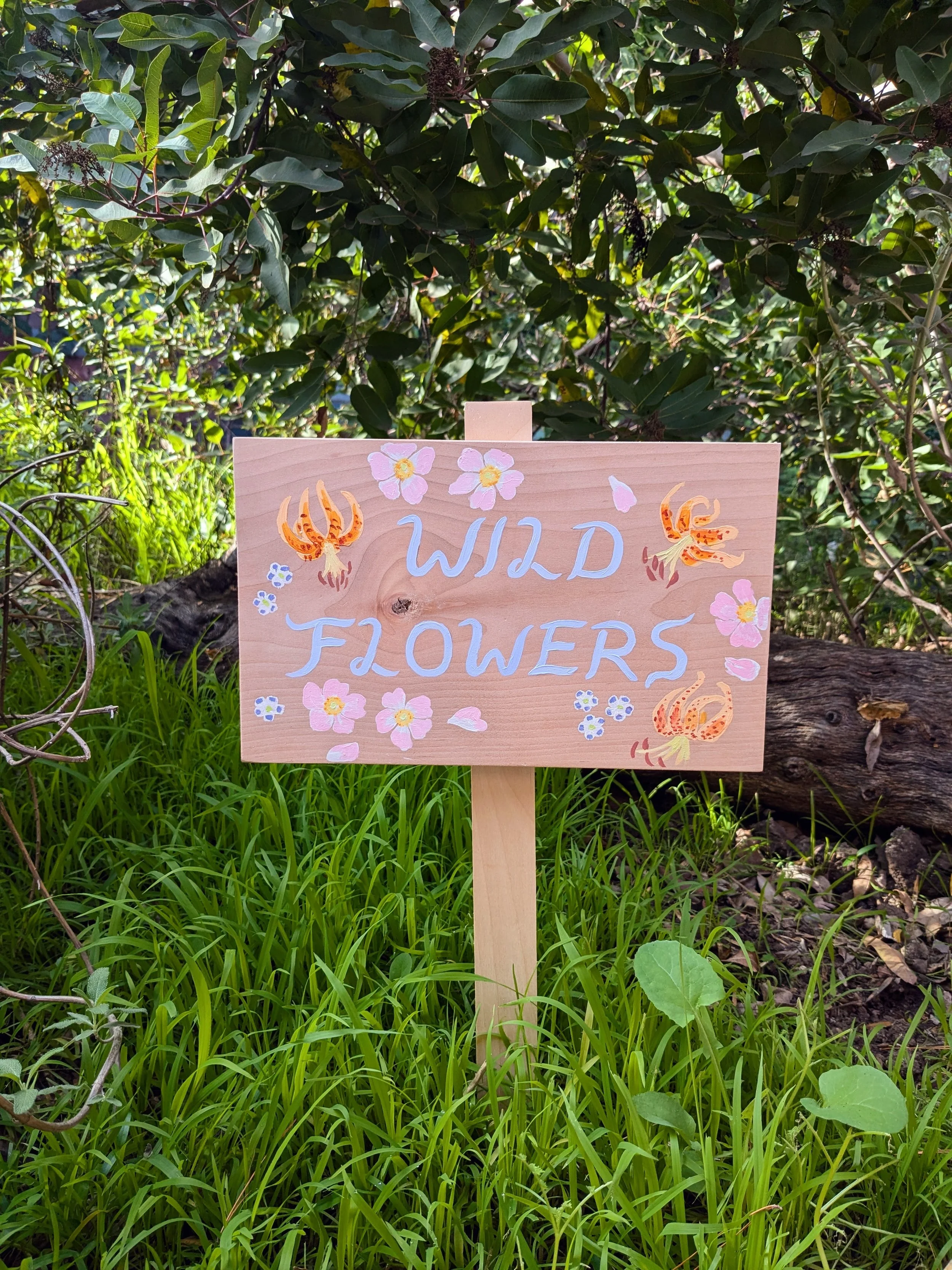 Hand Painted Garden Signs