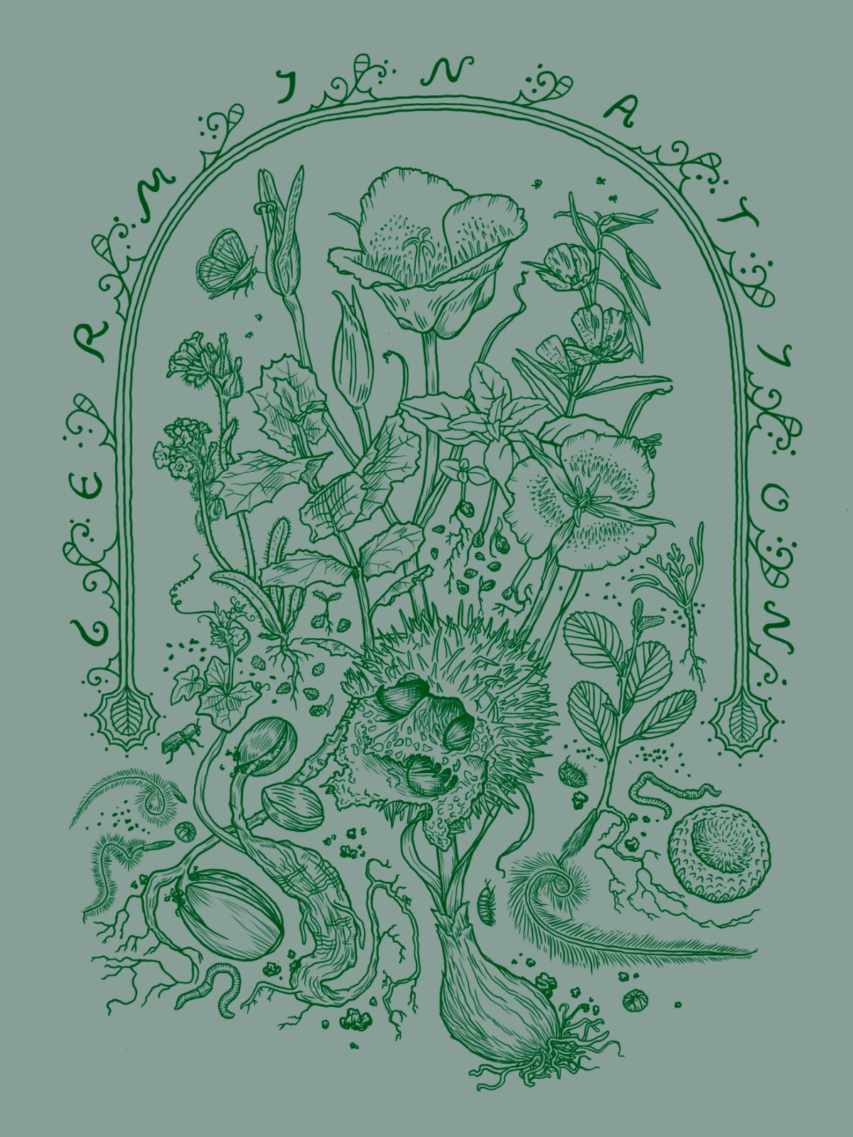 Germination_Illustration_2.jpg