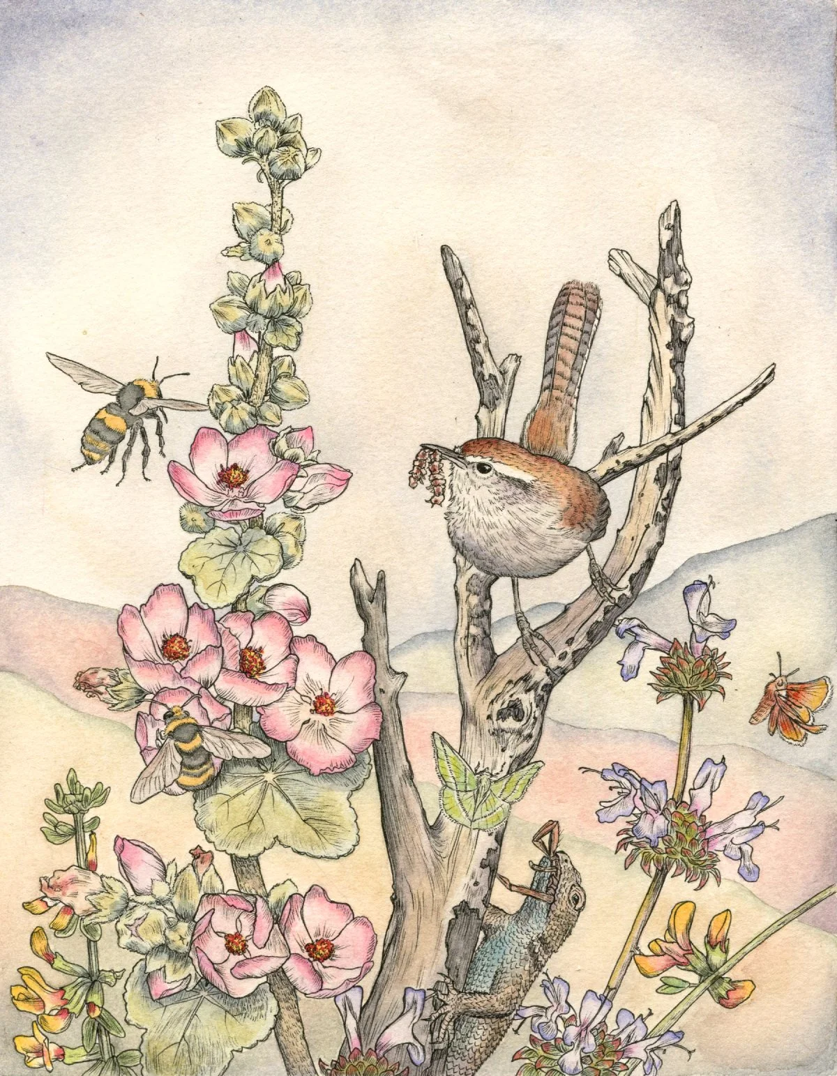 Bushmallow breakfast web.jpg