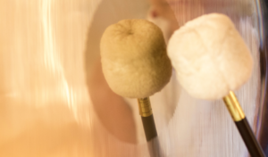 Gong Training Level 1 (Nov)