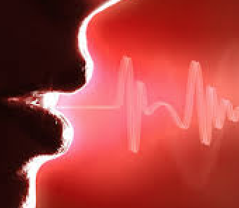 voice.png