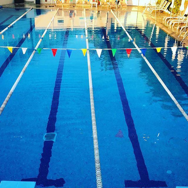 You can&rsquo;t beat a pool to yourself. Don&rsquo;t ya just want to dive in? 🏊&zwj;♂️
&bull;
&bull;
&bull;
#tricamp #earlybird #swim #swimbikerun #swimming #swimmingpool #paradise #openair #gottotri #triathlon #trilife #hitthepool #swimsmooth