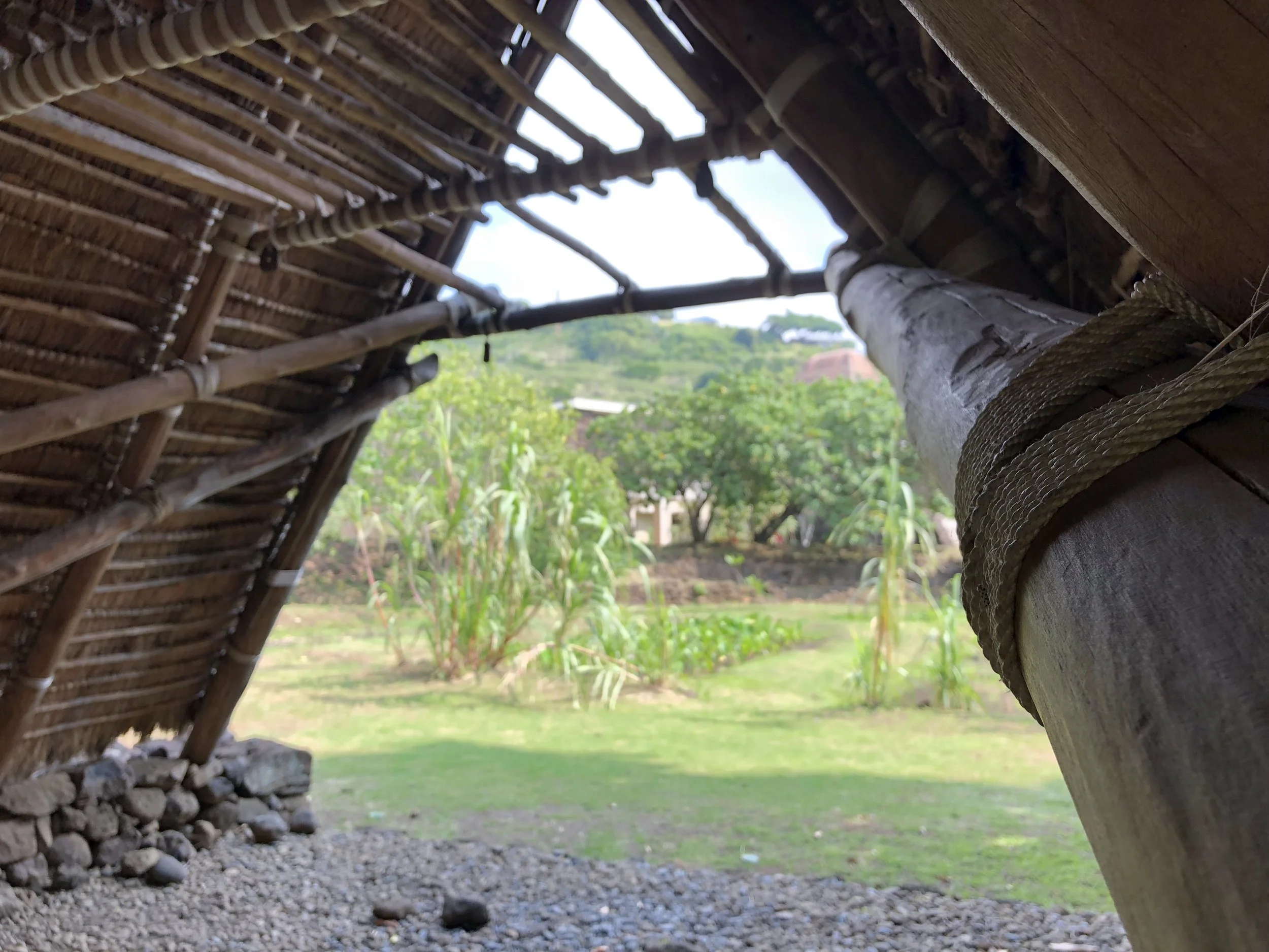 The halepili at Ka Papa Lo‘i ‘o Kanewai
