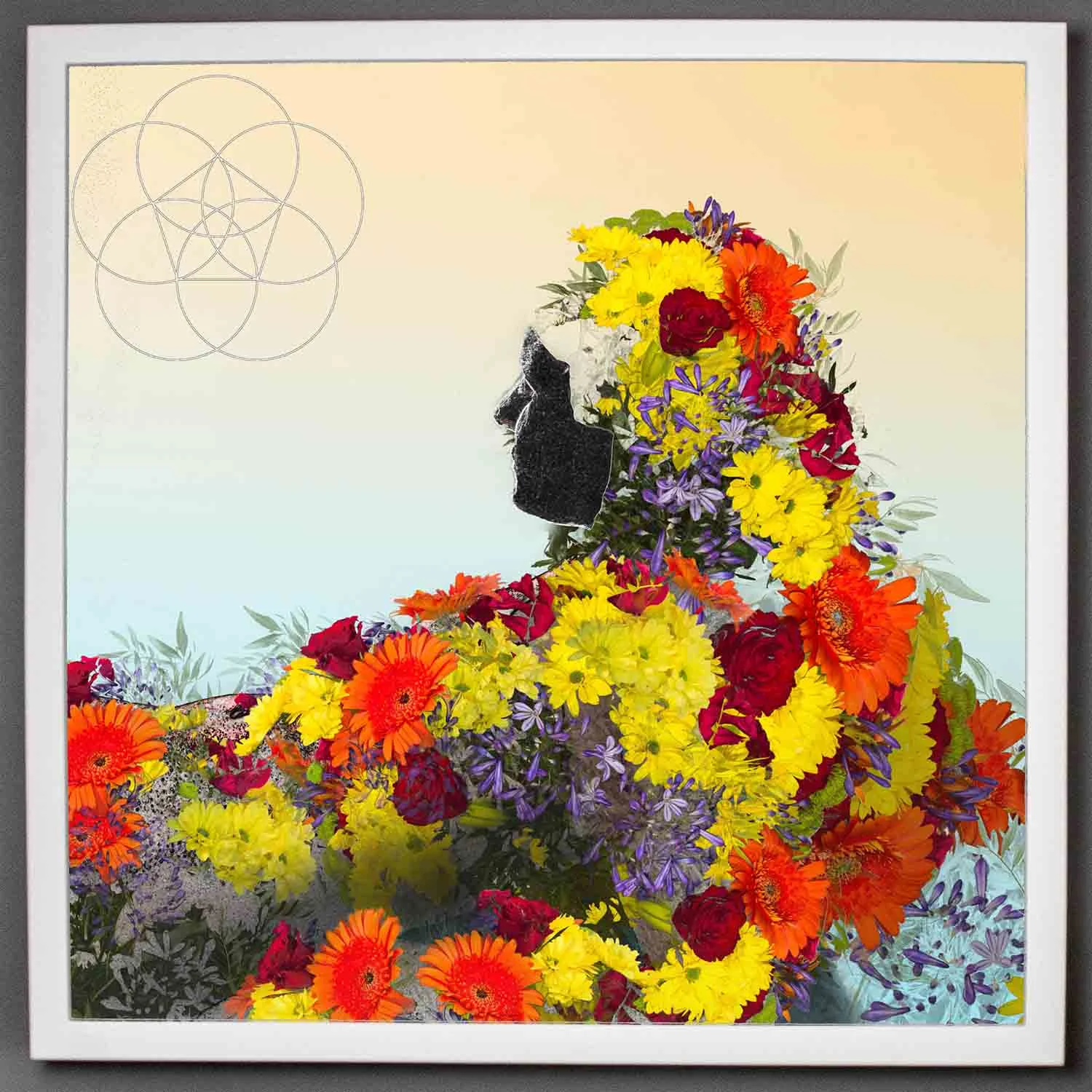 visual-flux-soul-bloom-bigframe.jpg