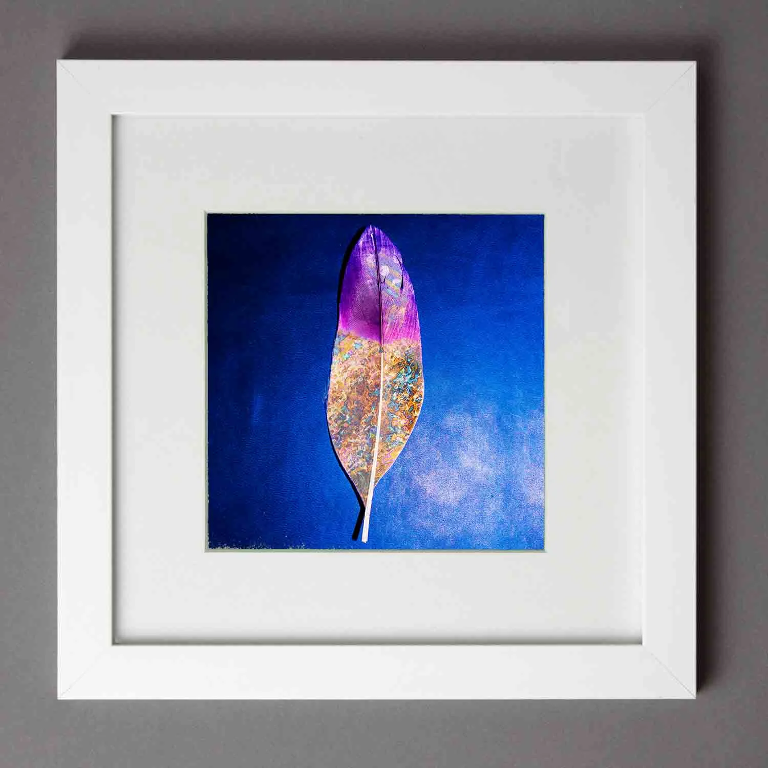 visual-flux-feather-smallframe.jpg