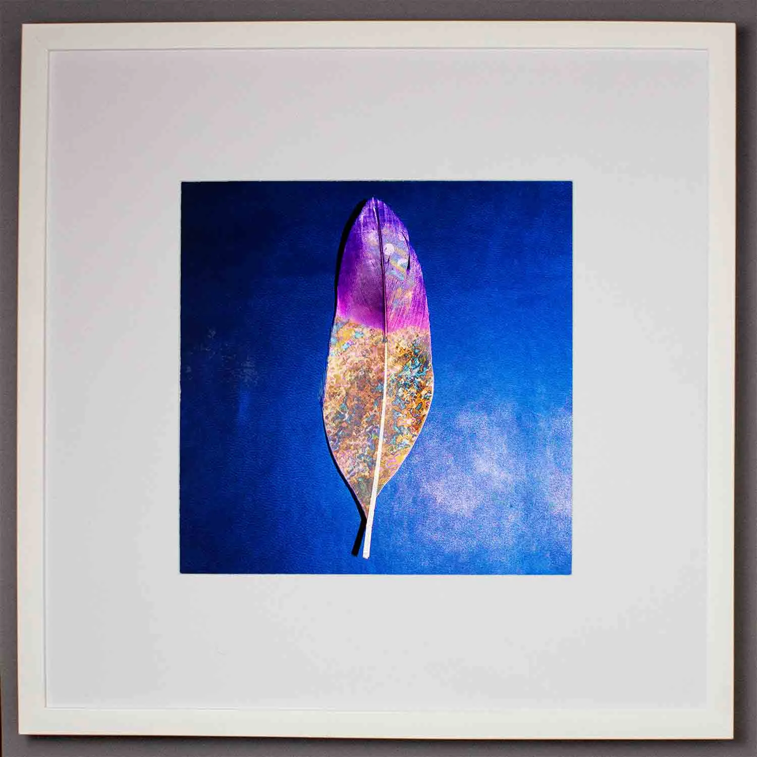 visual-flux-feather-medframe.jpg