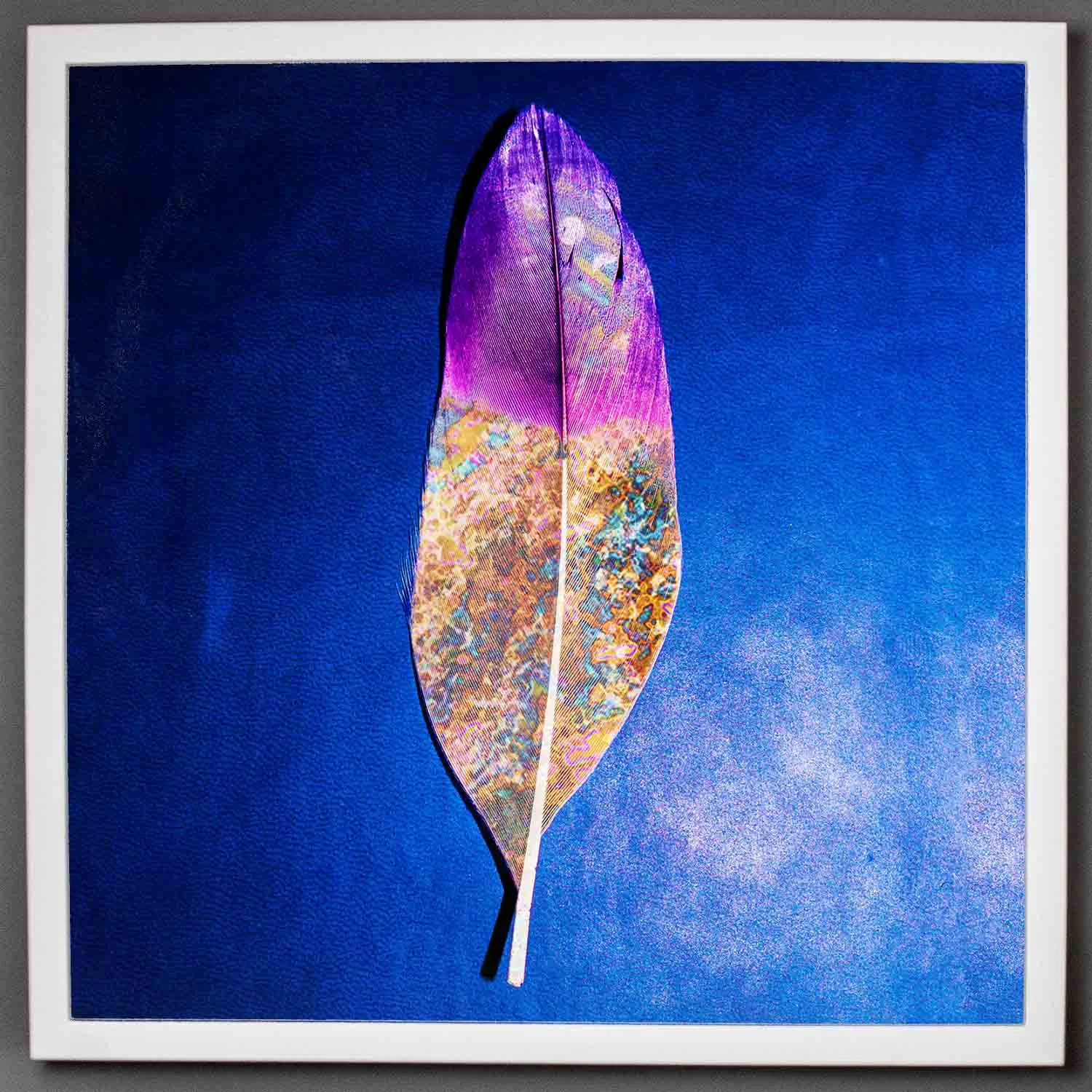 visual-flux-feather-bigframe.jpg