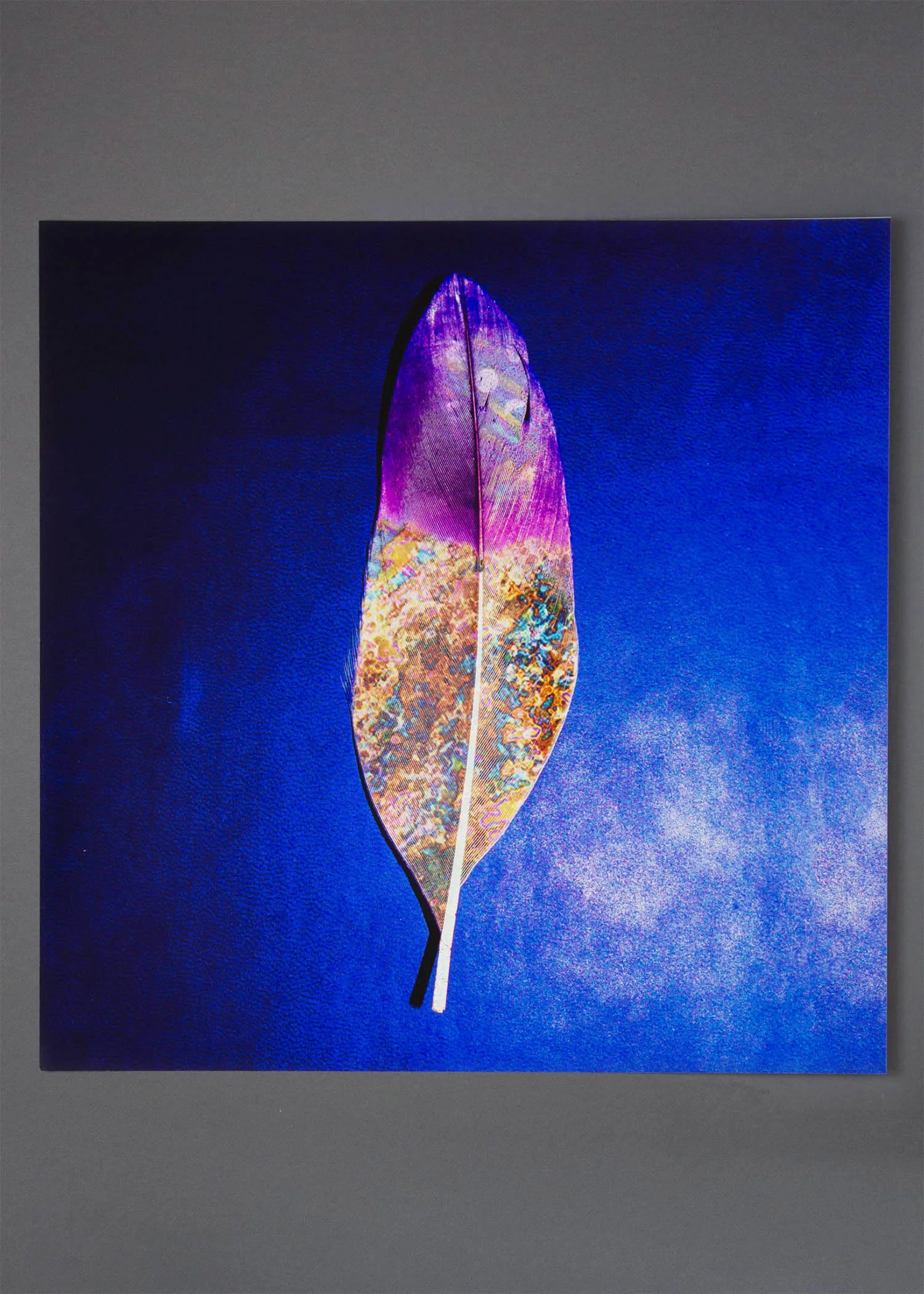 visual-flux-feather-square.jpg