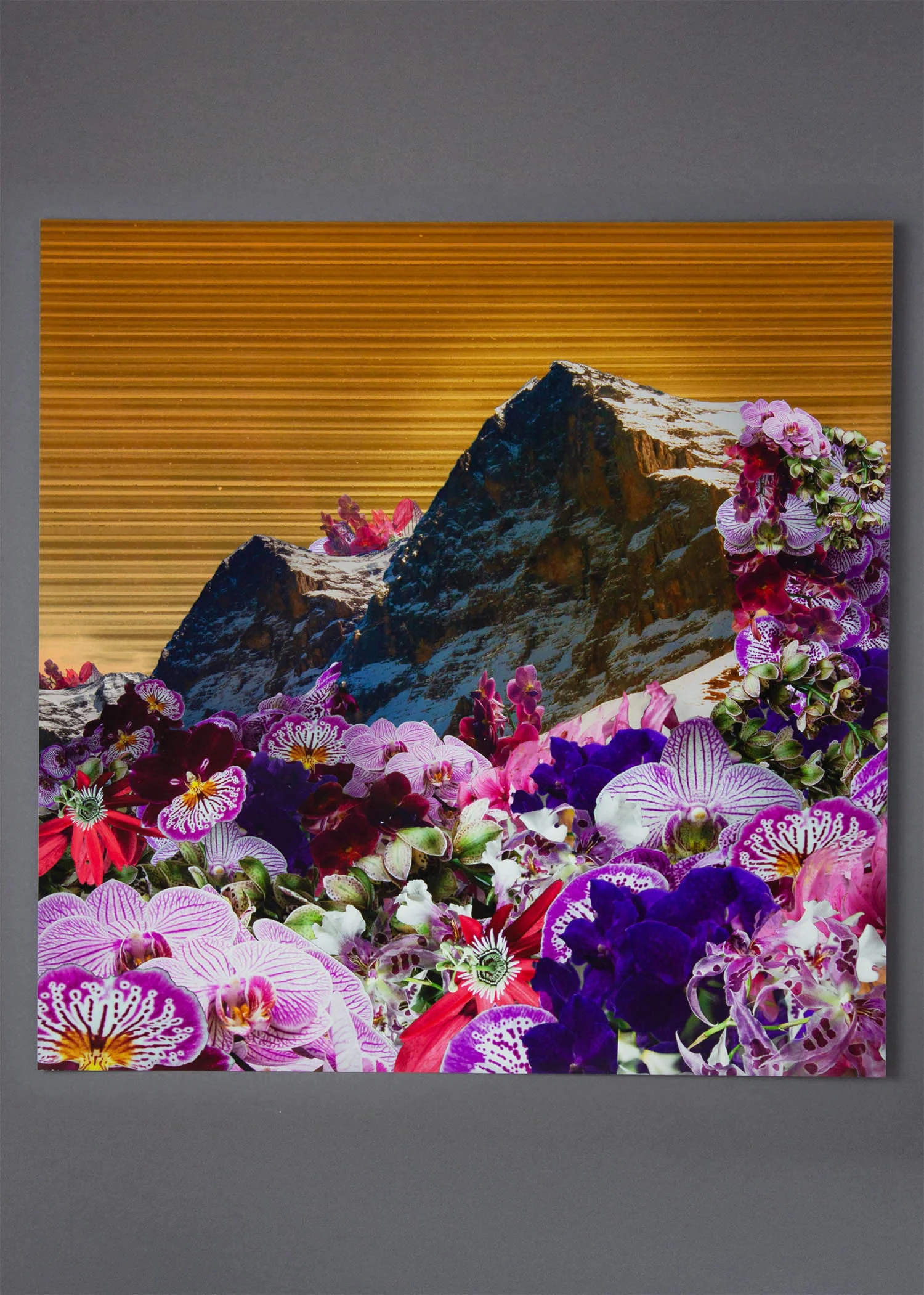 visual-flux-floral-mountains-square.jpg