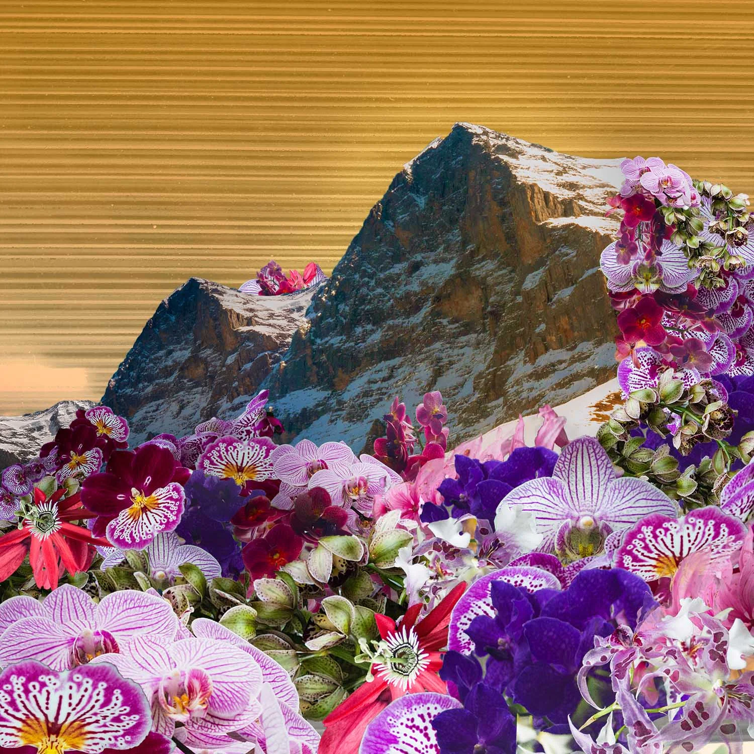 flower moutianweb .jpg