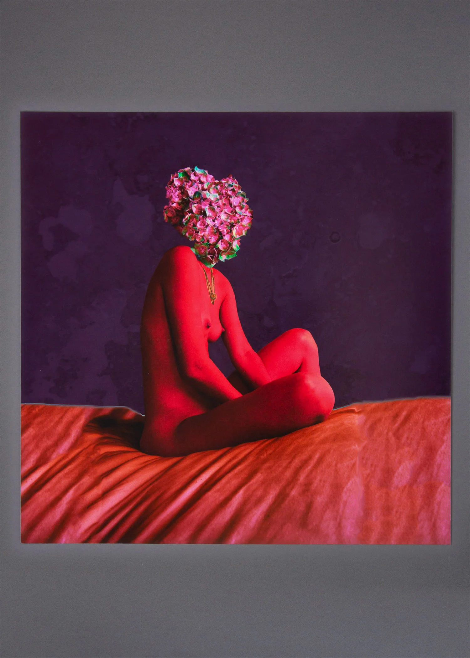 visual-flux-red-velvet-square.jpg