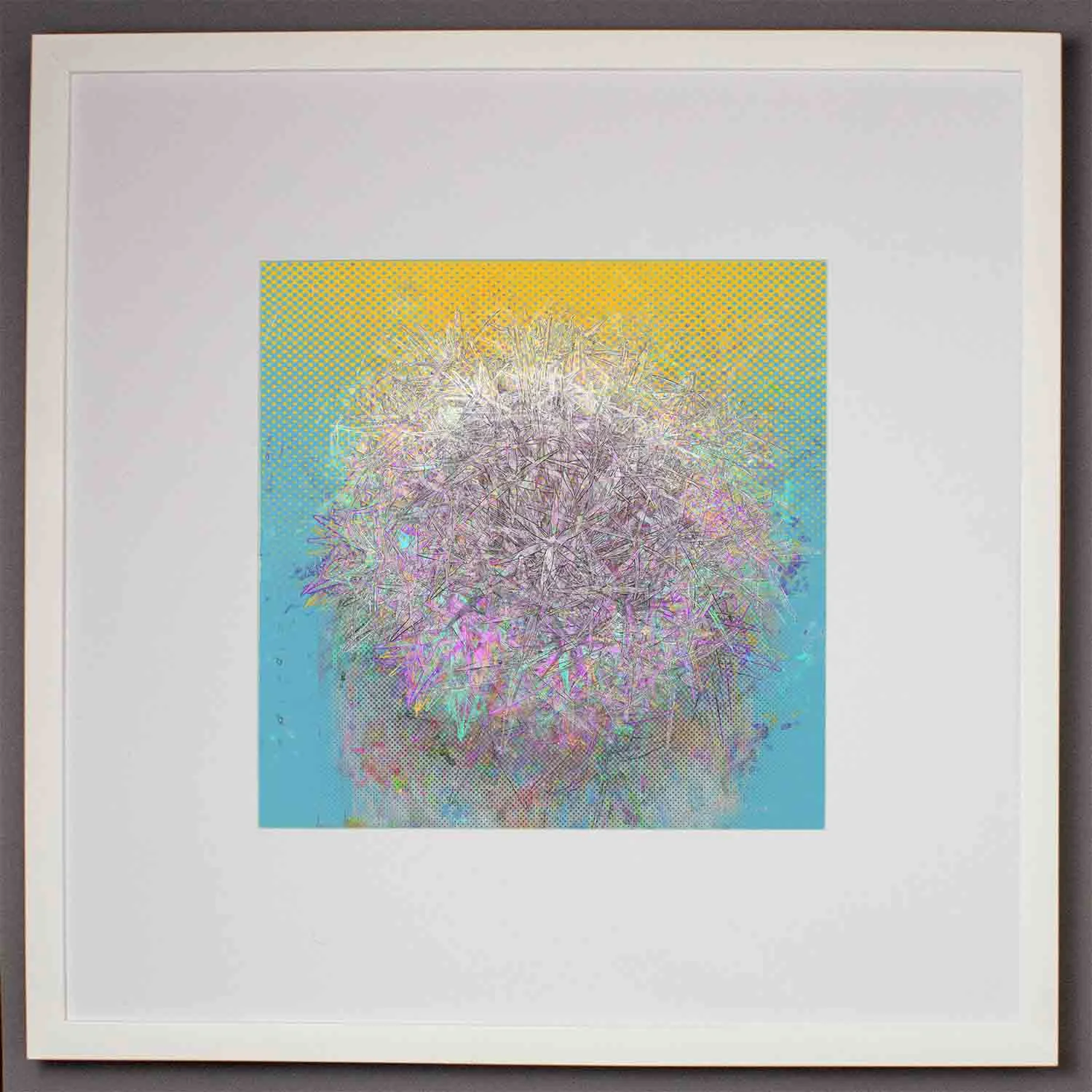 visual-flux-aqua-regalia-medframe.jpg